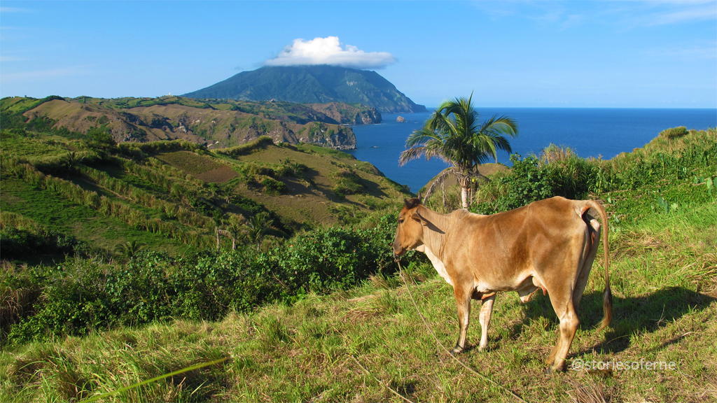 BATANES 080.jpg