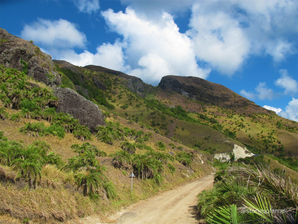 BATANES 081.jpg