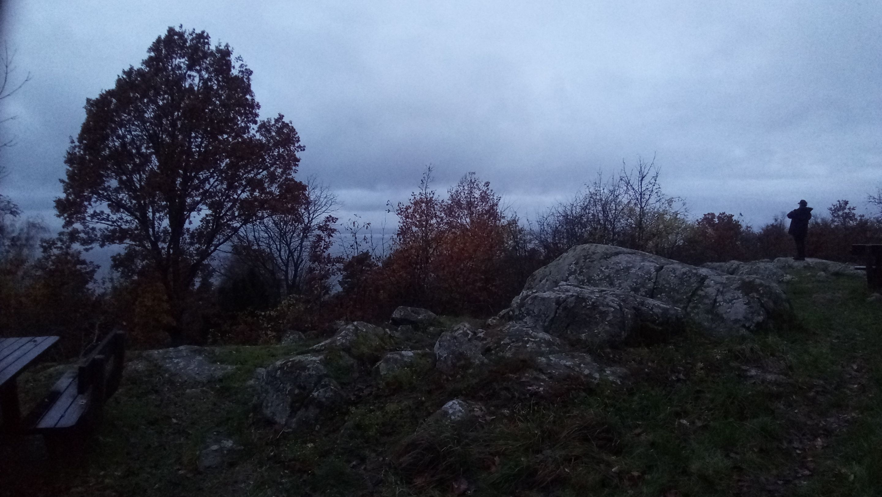 P_20231110_155522.jpg