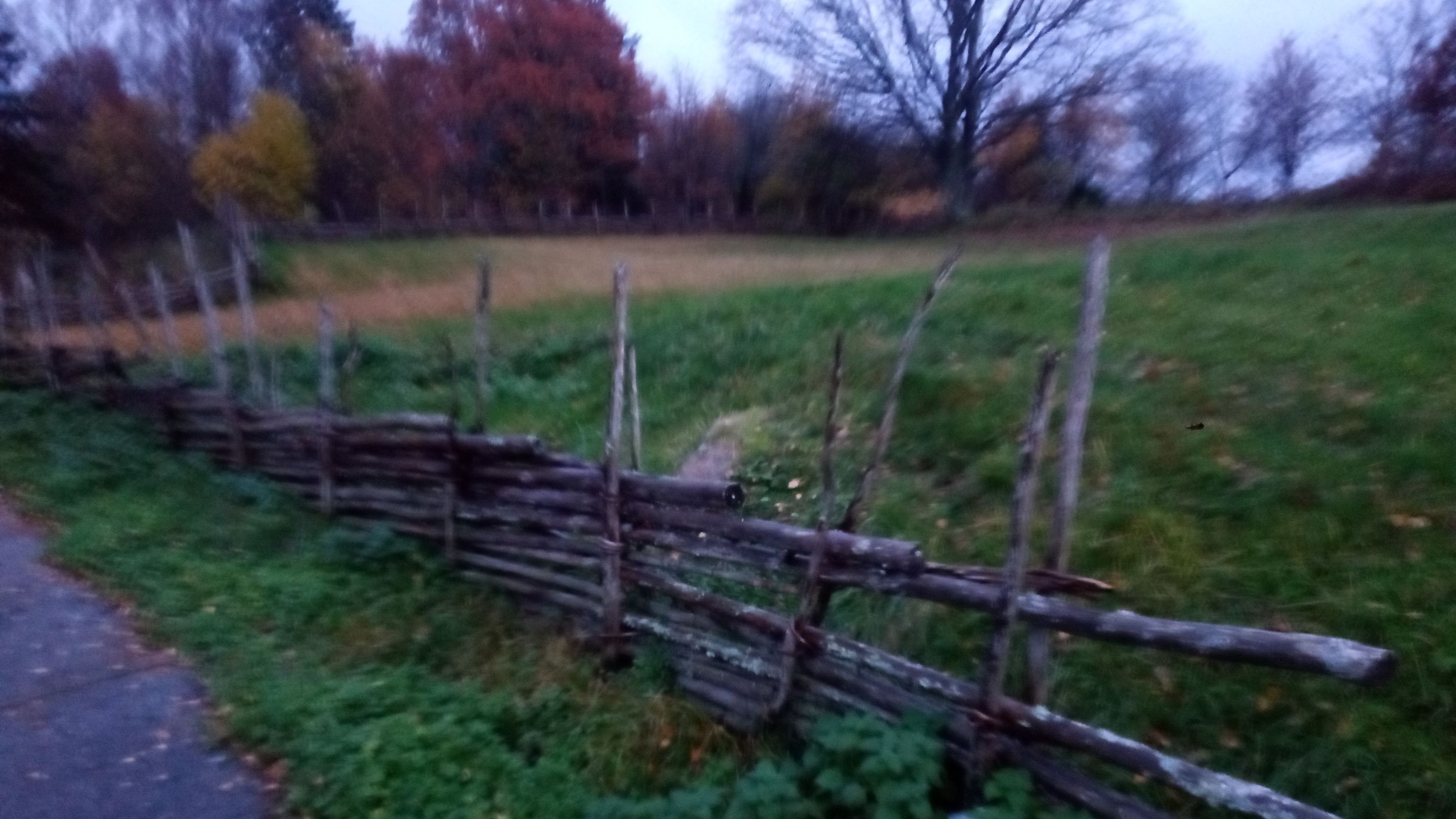 P_20231110_155902.jpg