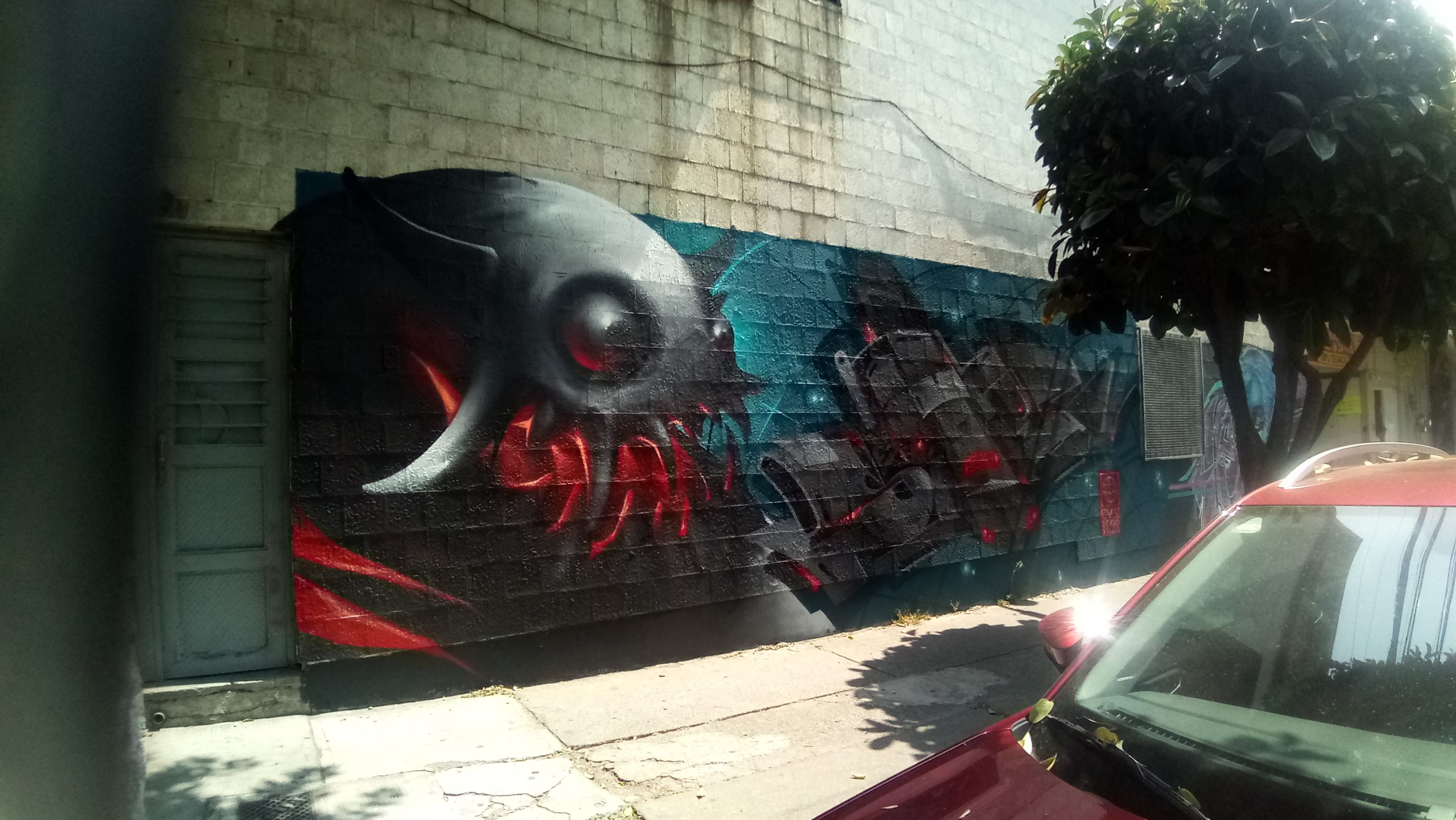 P_20250425_105542.jpg