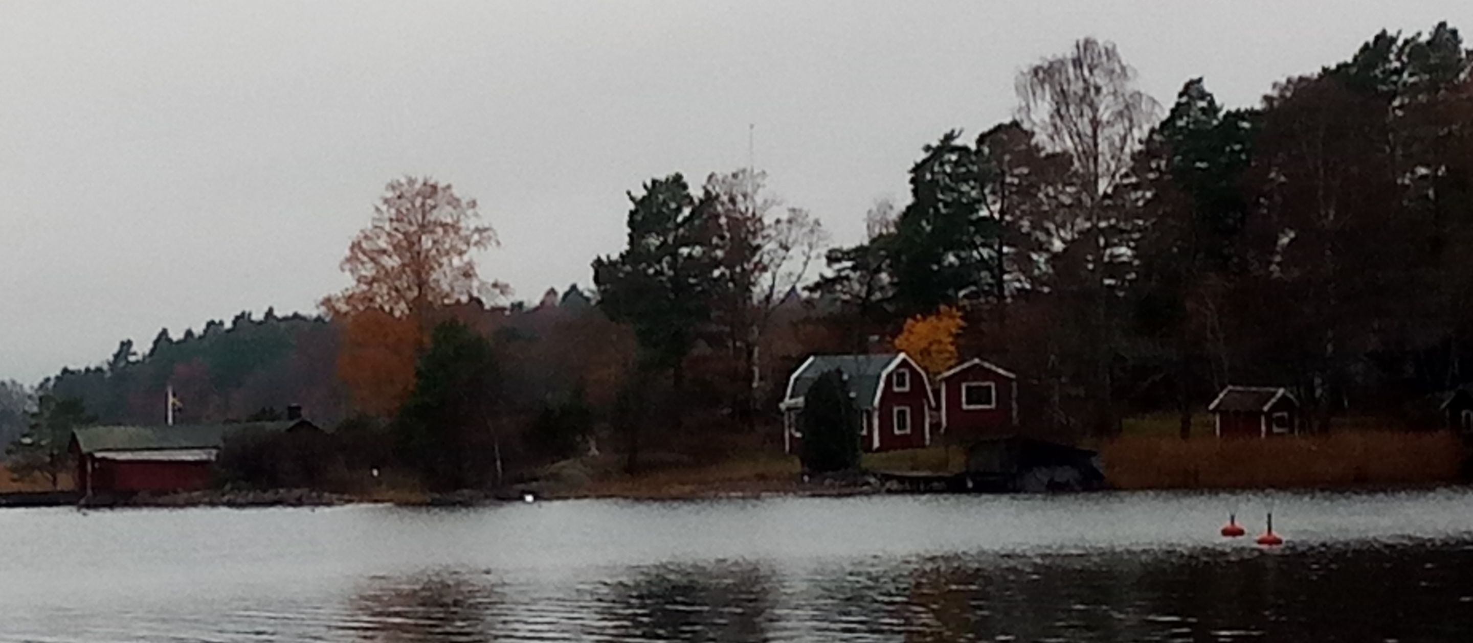 P_20231110_100824.jpg