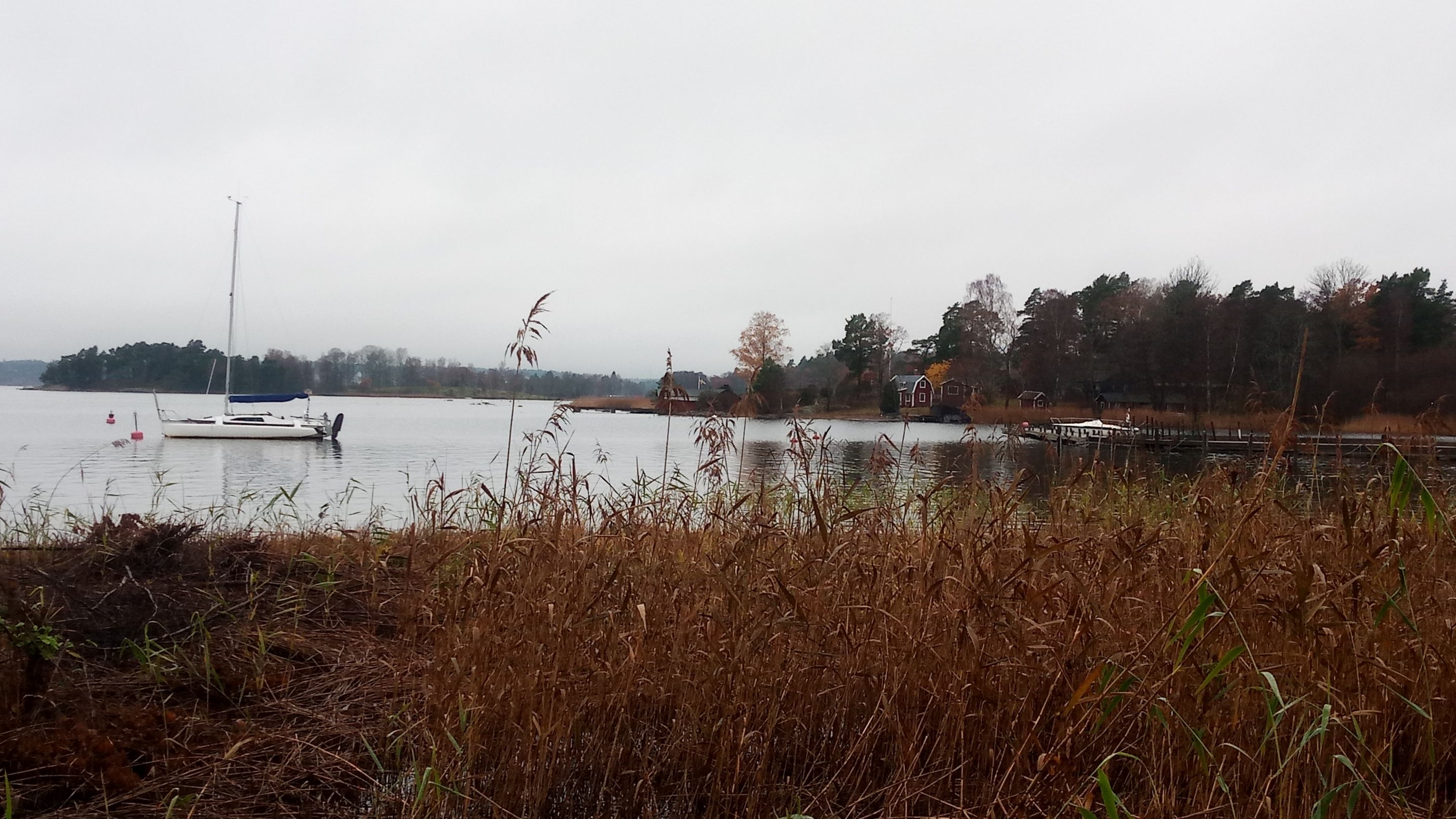 P_20231110_100741.jpg