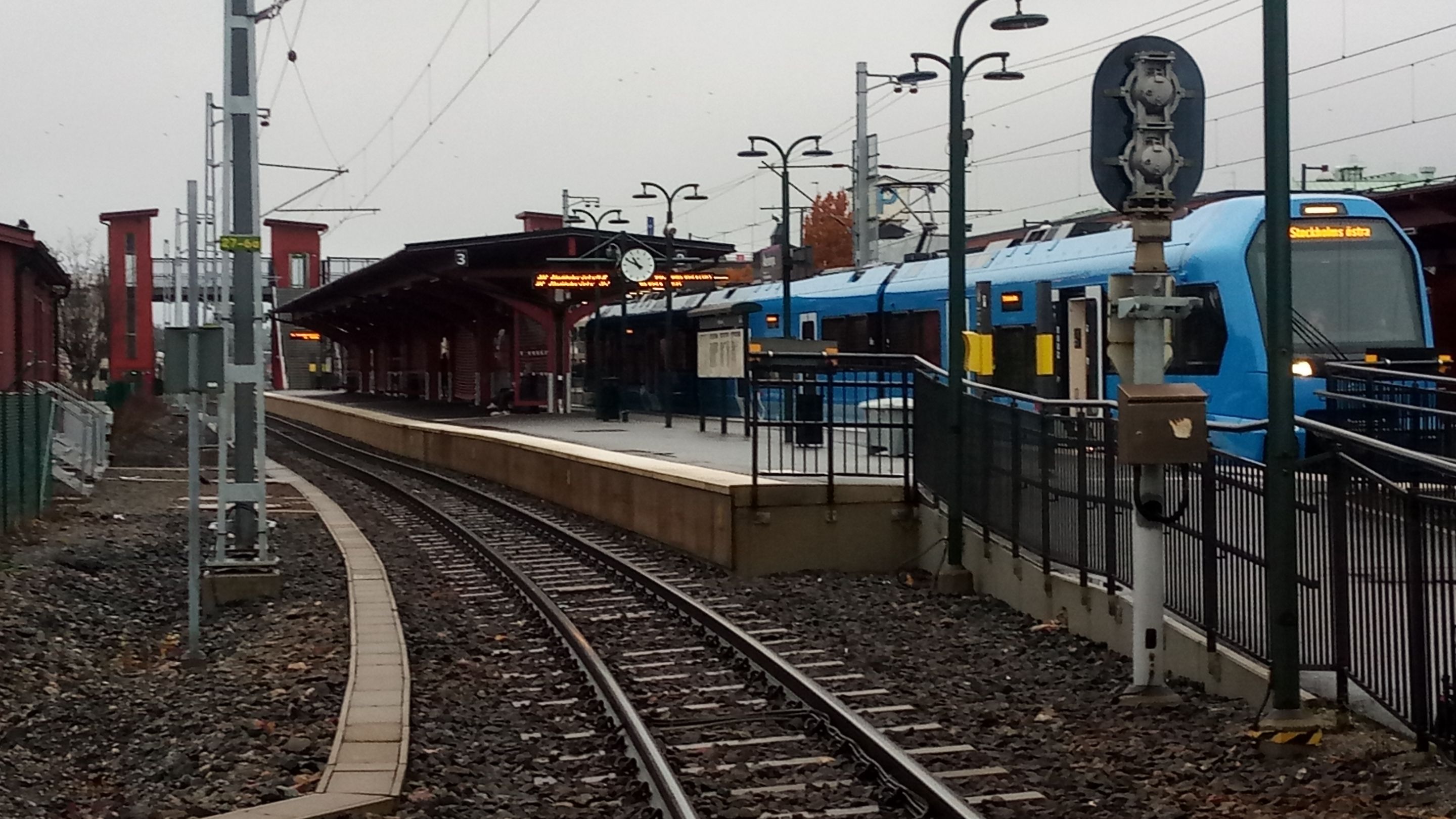 P_20231110_104948.jpg