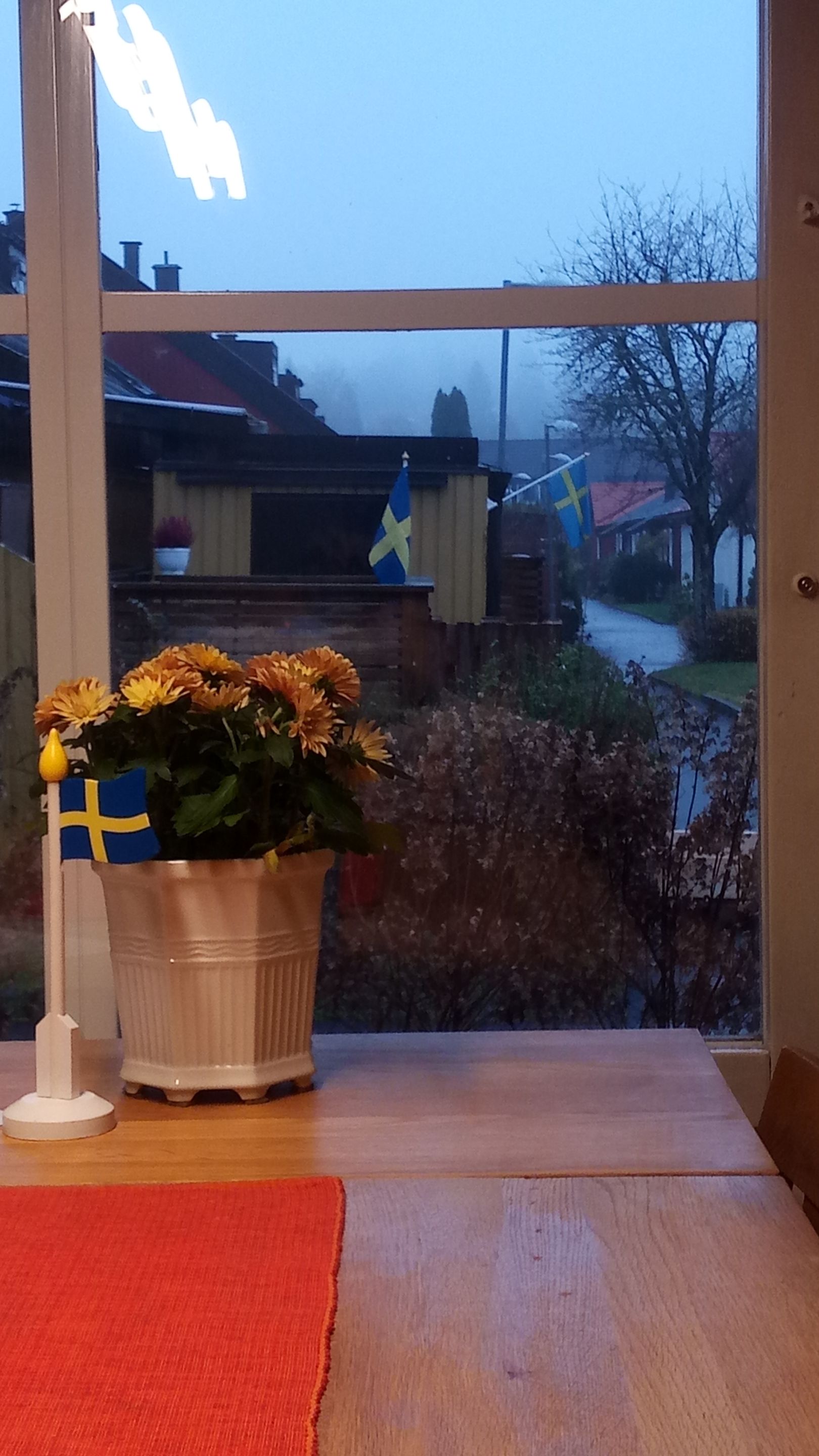 P_20231110_083848.jpg