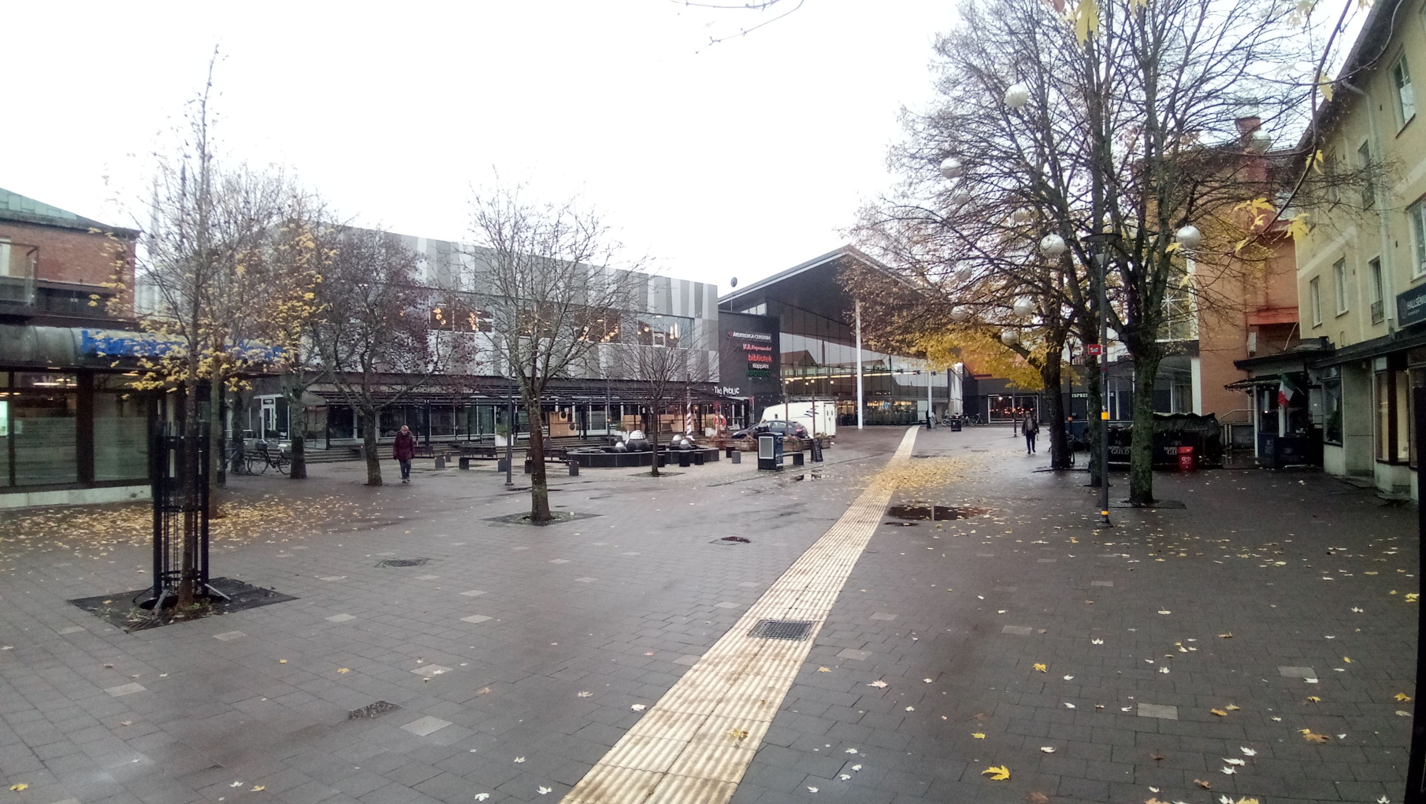 P_20231110_103211.jpg