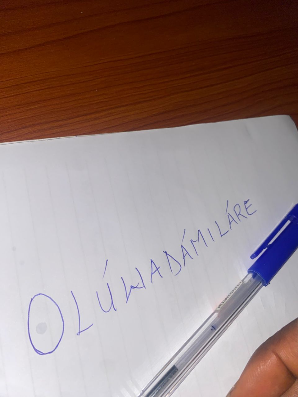 WhatsApp Image 2025-10-18 at 00.37.44_dbfd733c.jpg