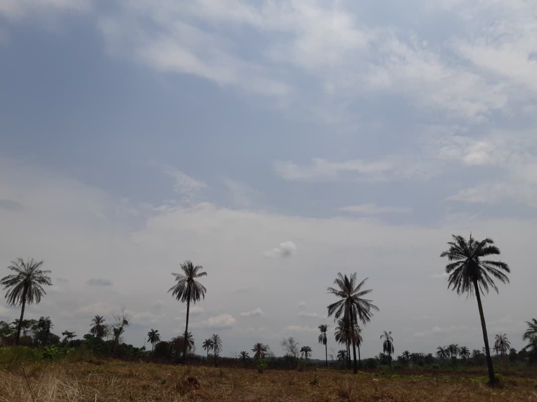 WhatsApp Image 2025-10-16 at 22.25.49_8bf1e38b.jpg