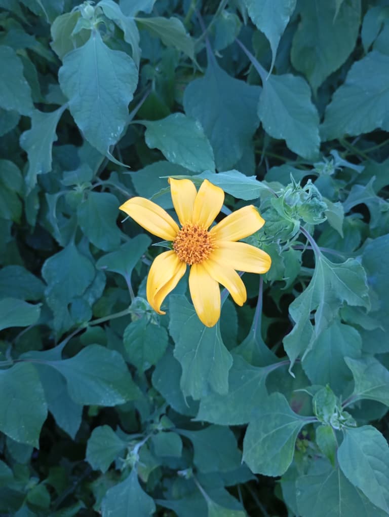 WhatsApp Image 2025-10-31 at 13.43.14_0138d8aa.jpg