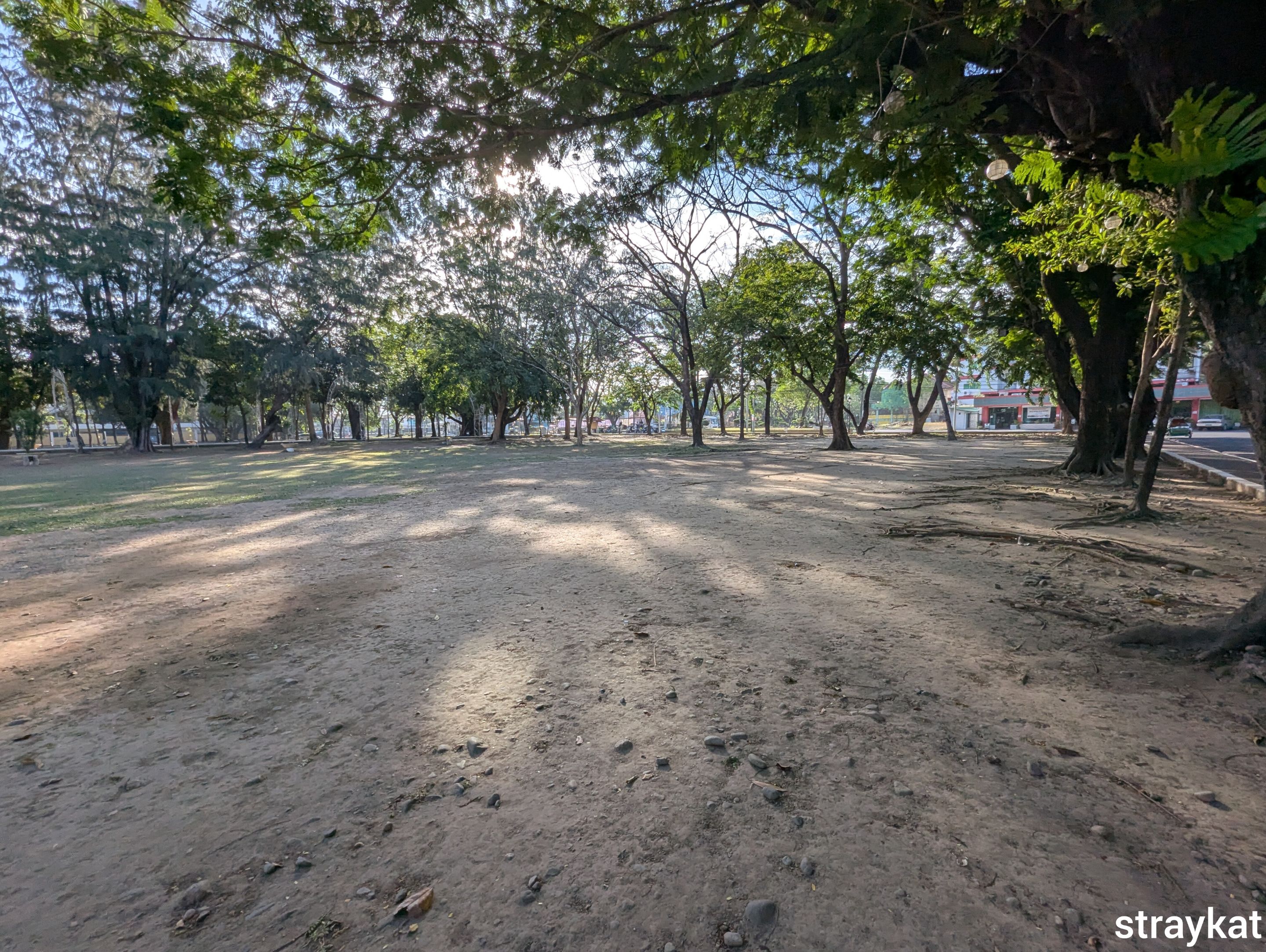 1000015373.jpg