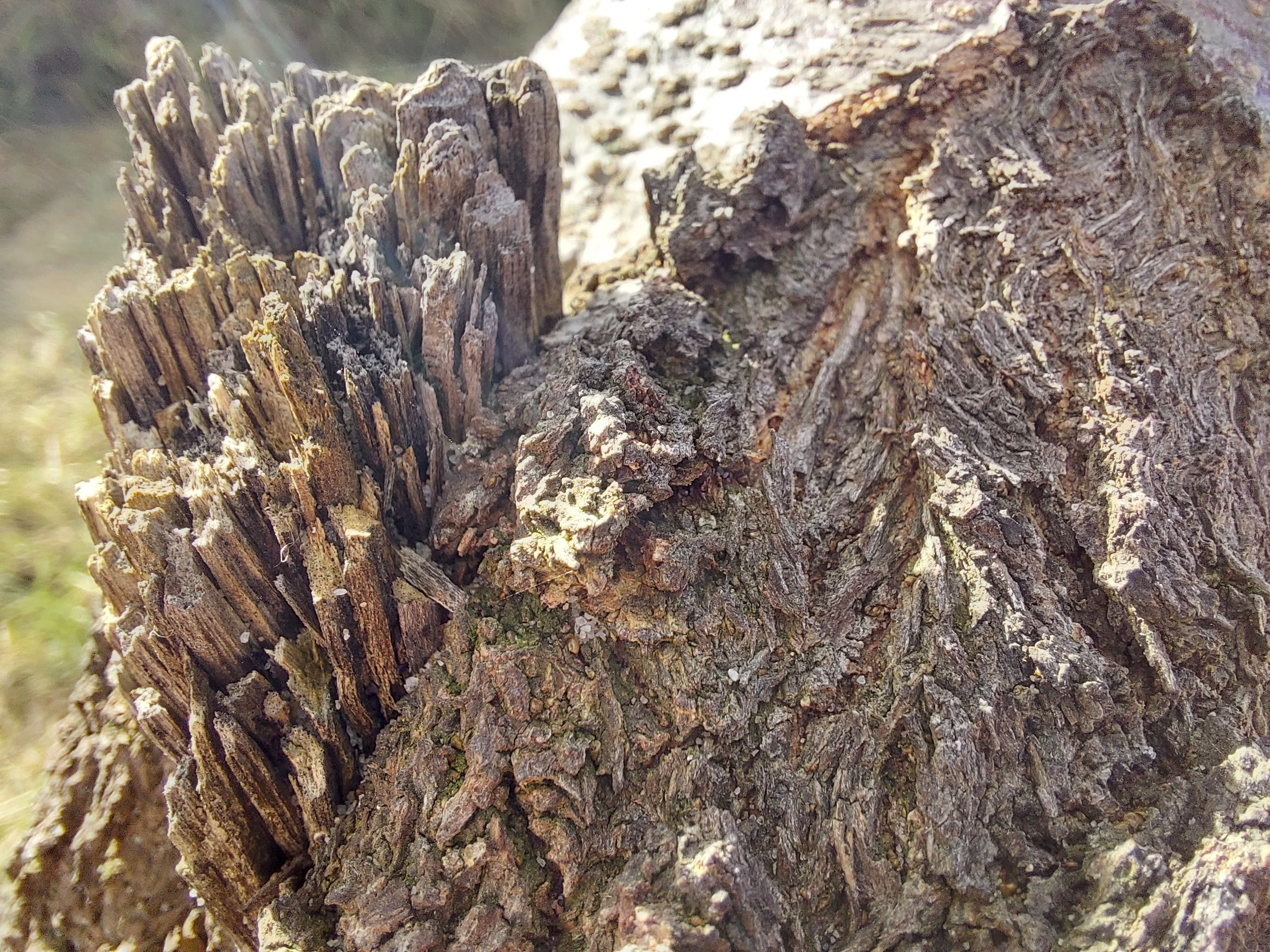 20220904_153741.jpg