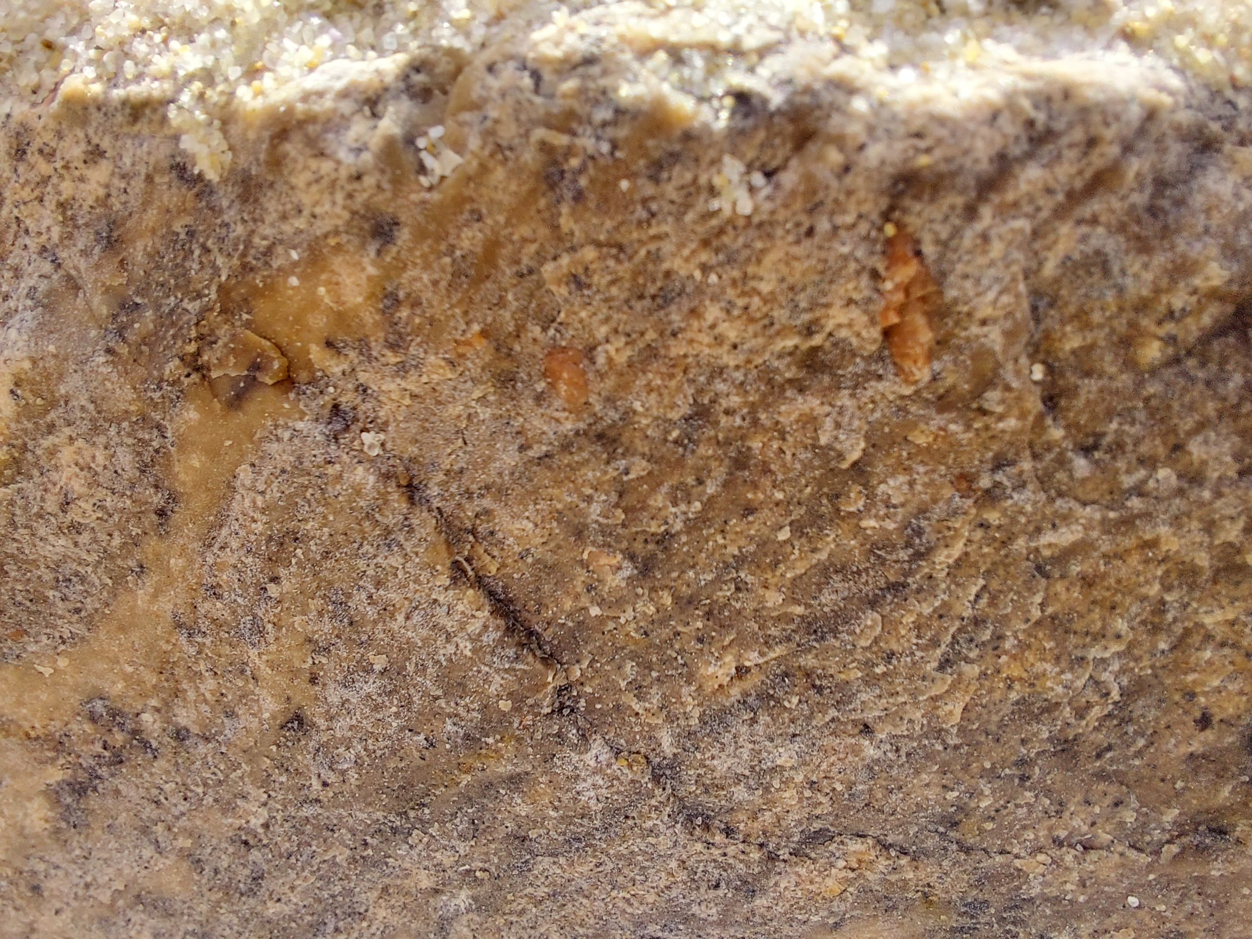 20220904_153825.jpg