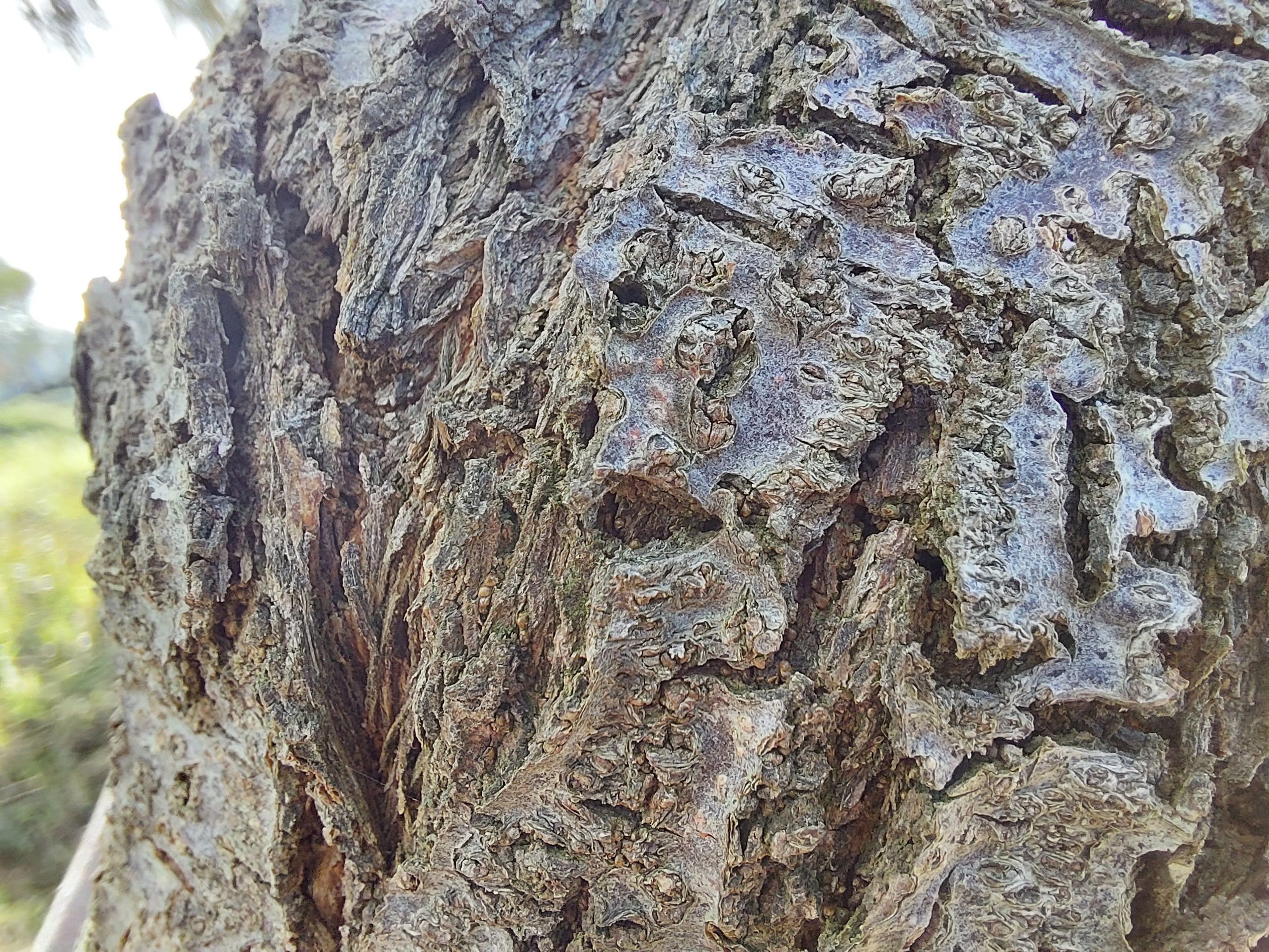 20220904_153729.jpg