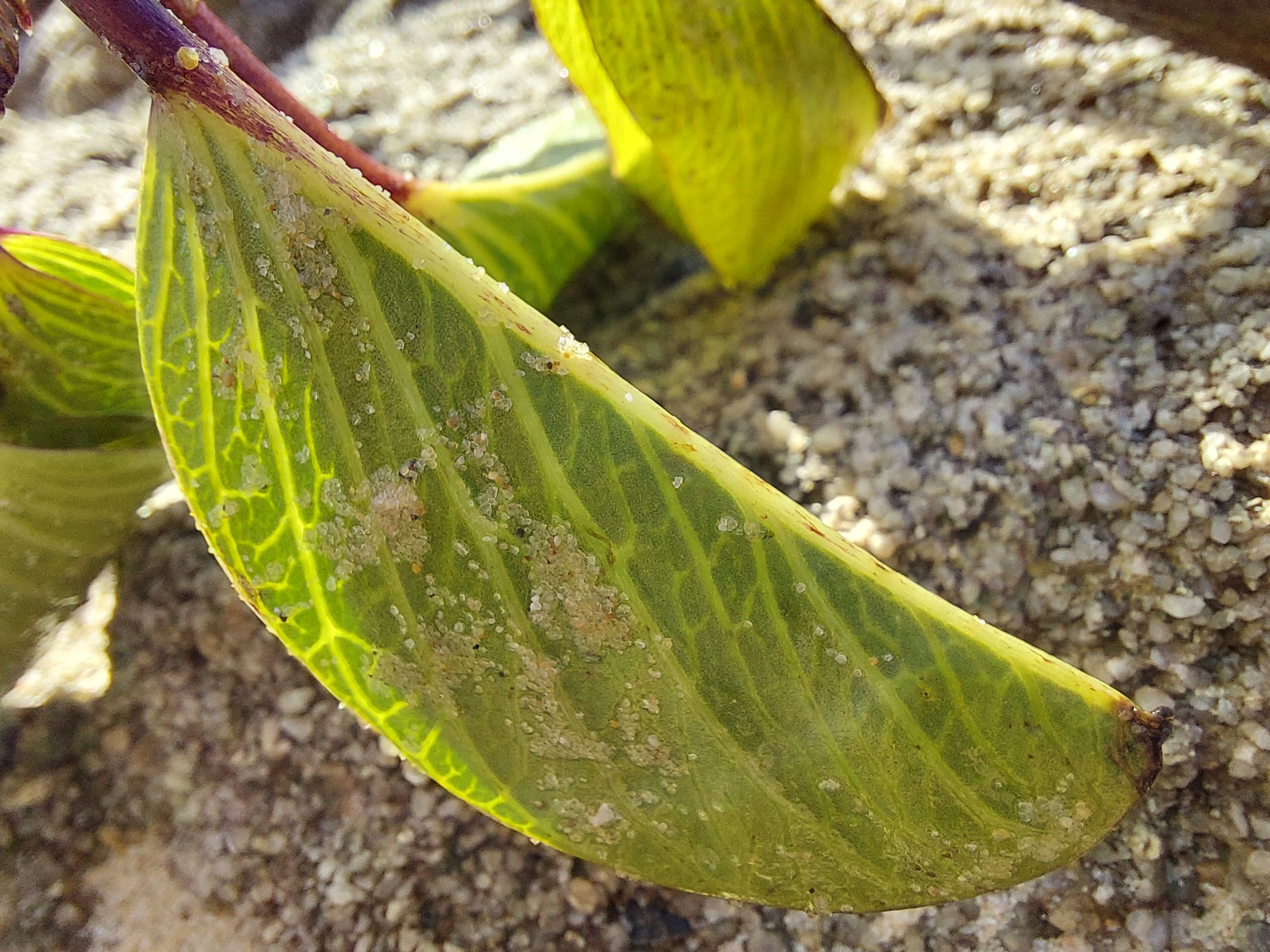 20220904_152859.jpg