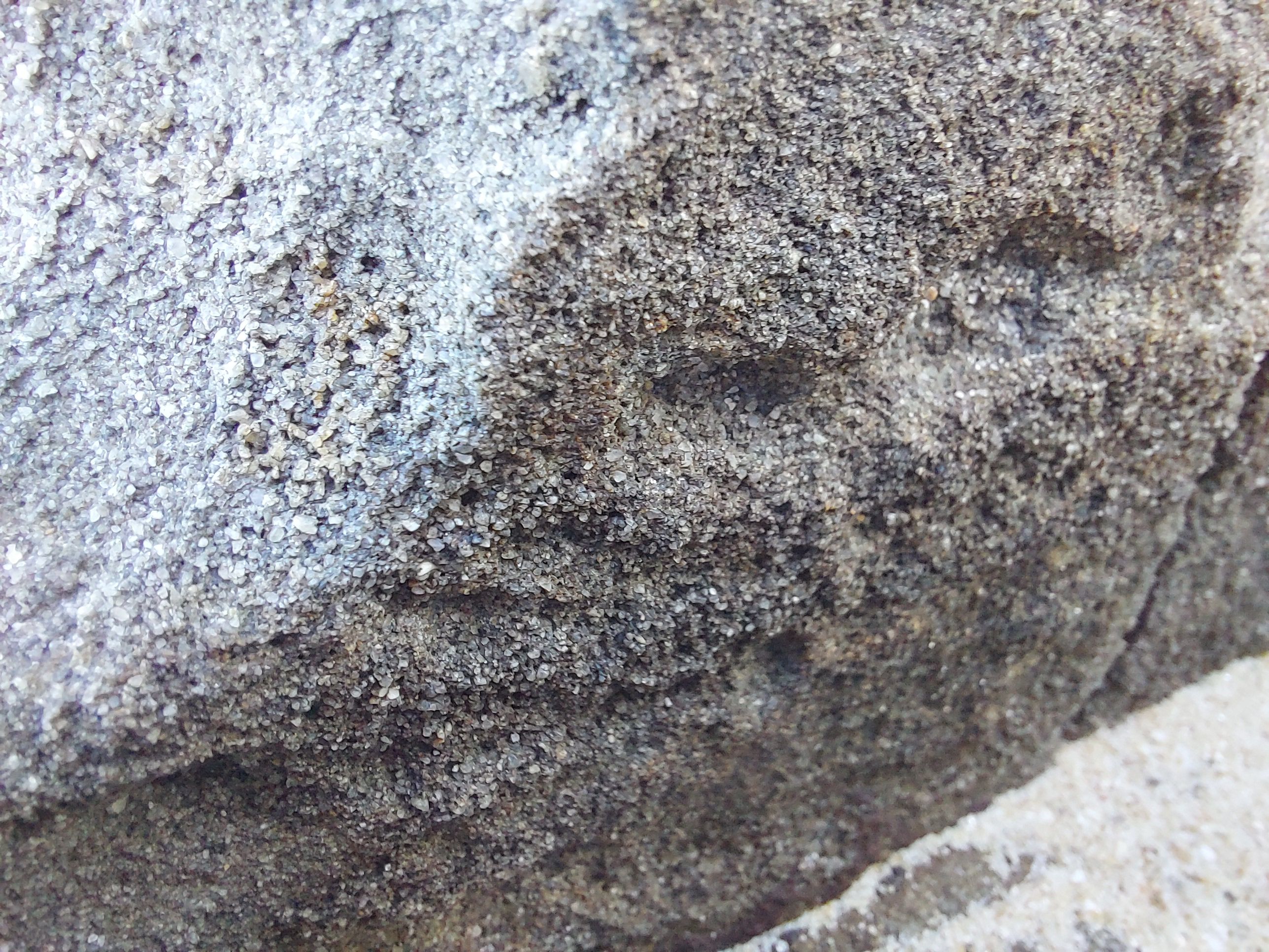 20220904_152545.jpg