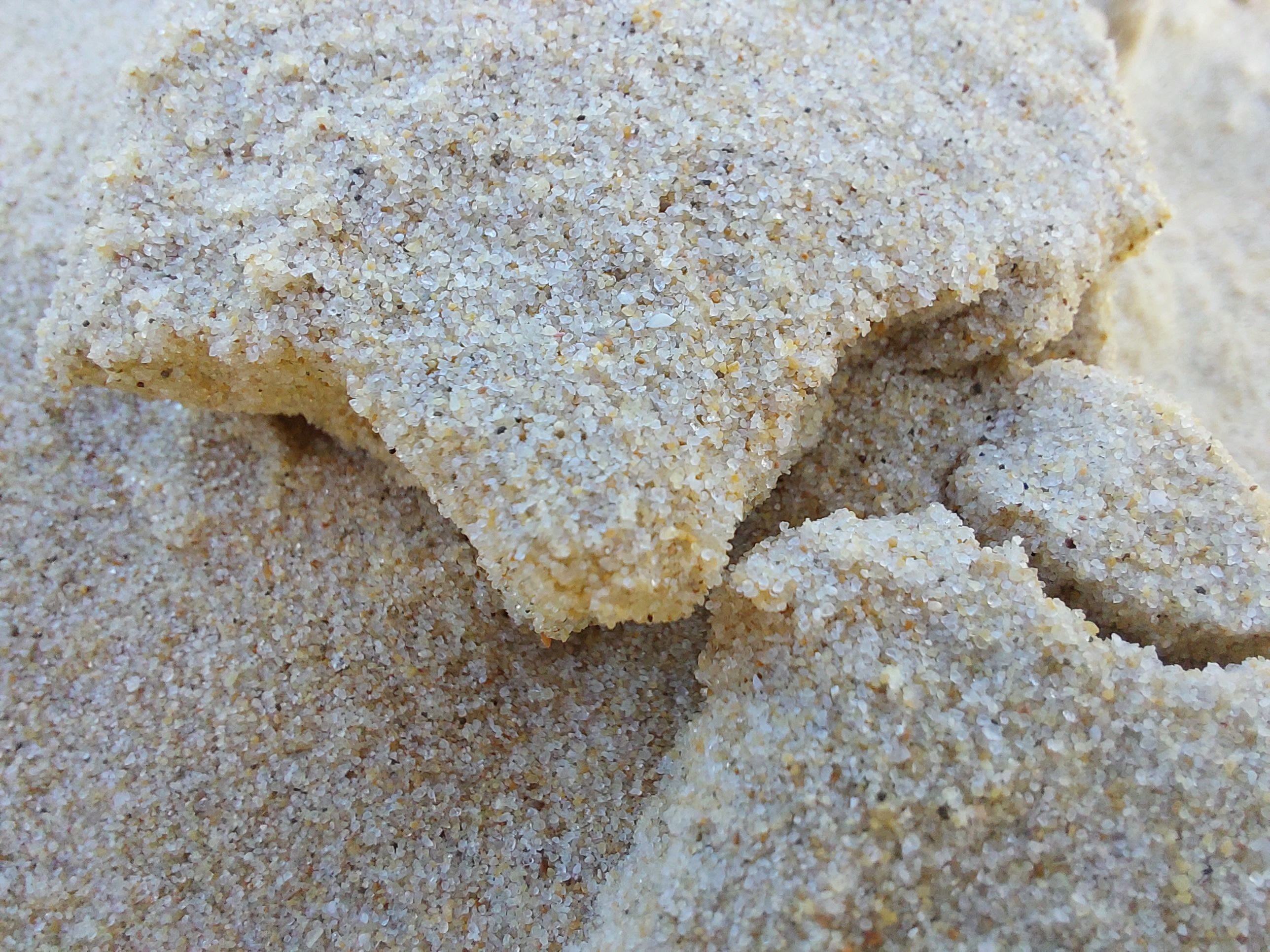 20220904_153159.jpg