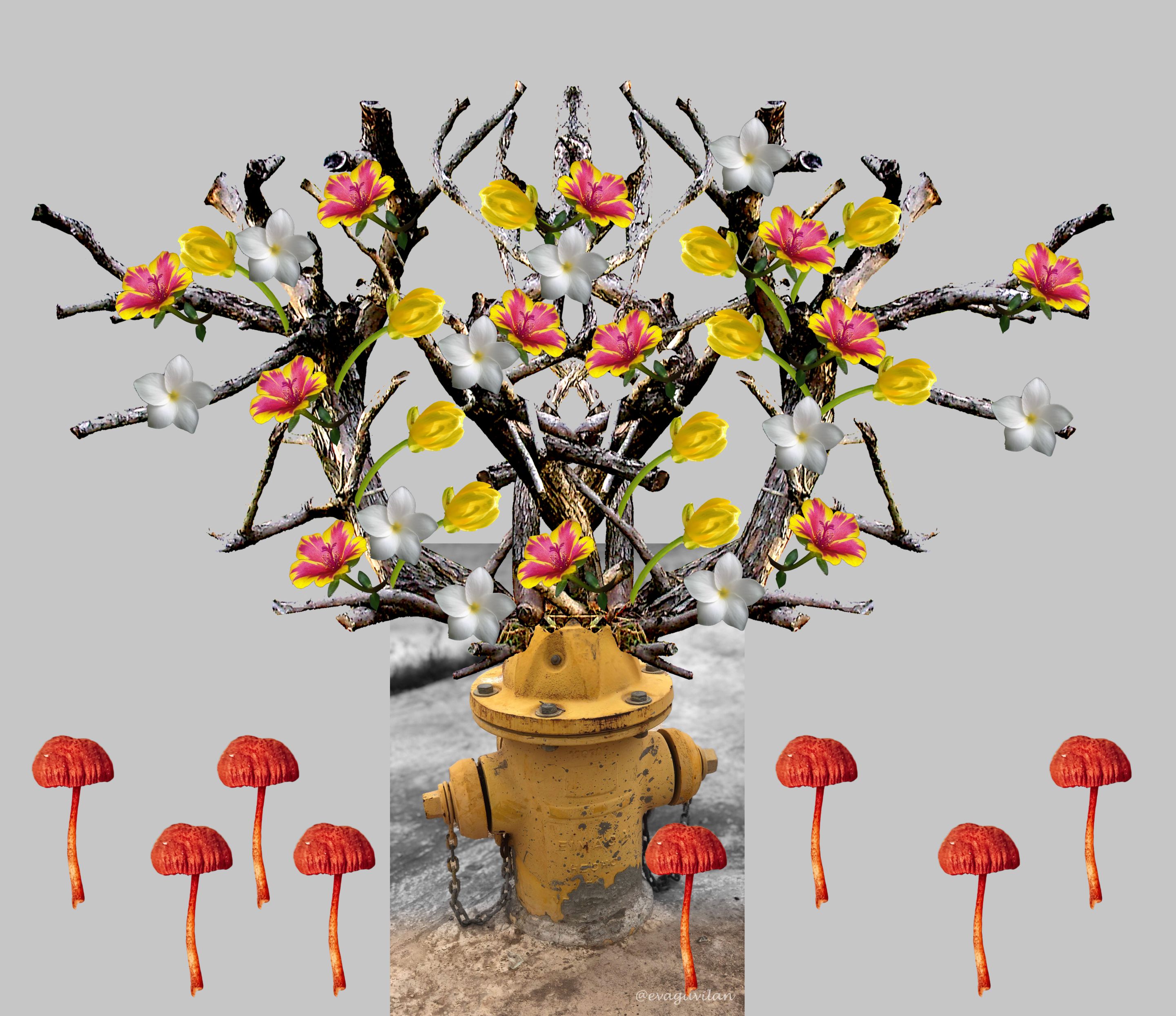 collage libre___.jpg