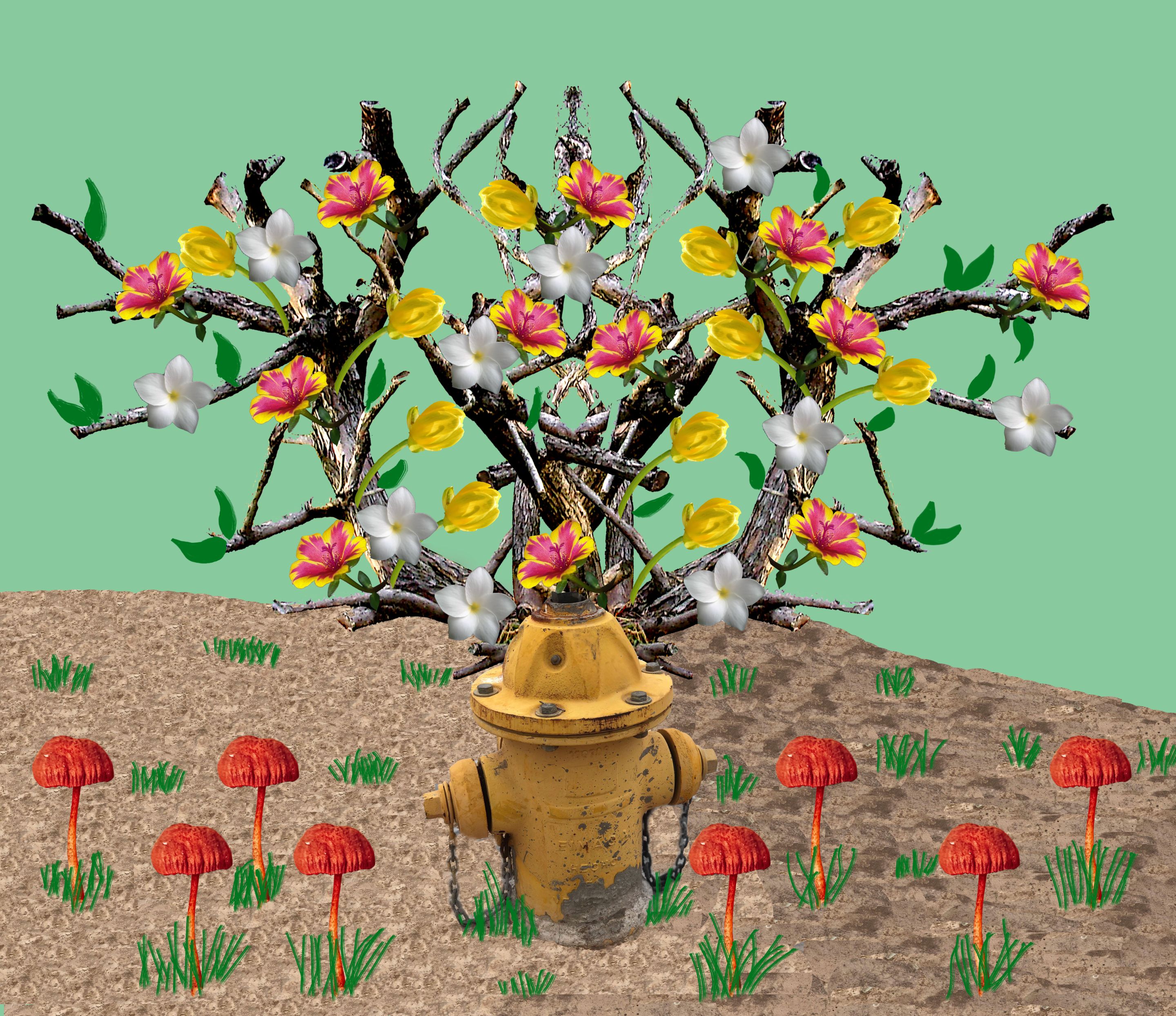 collage libre____.jpg