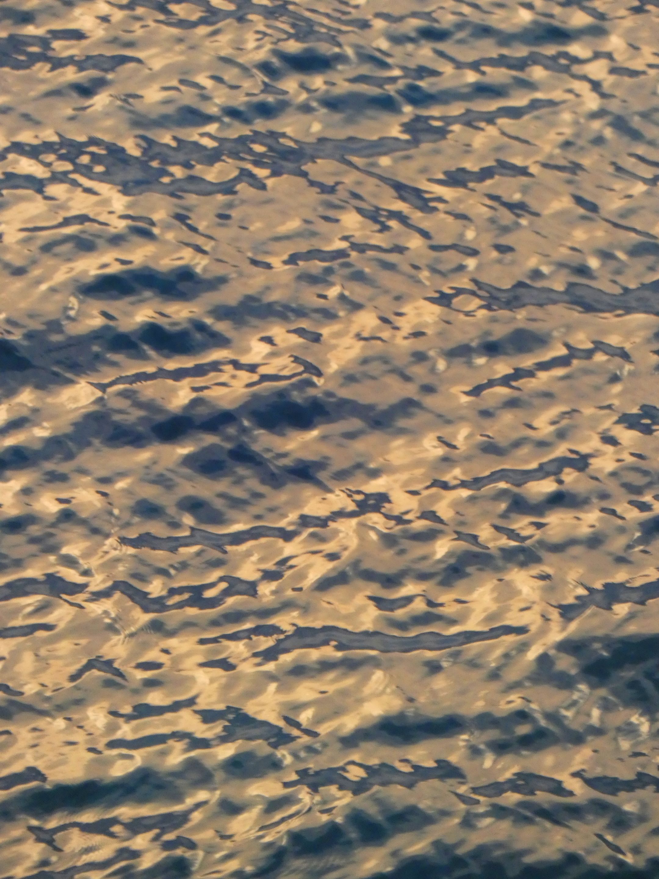 P1360820.png
