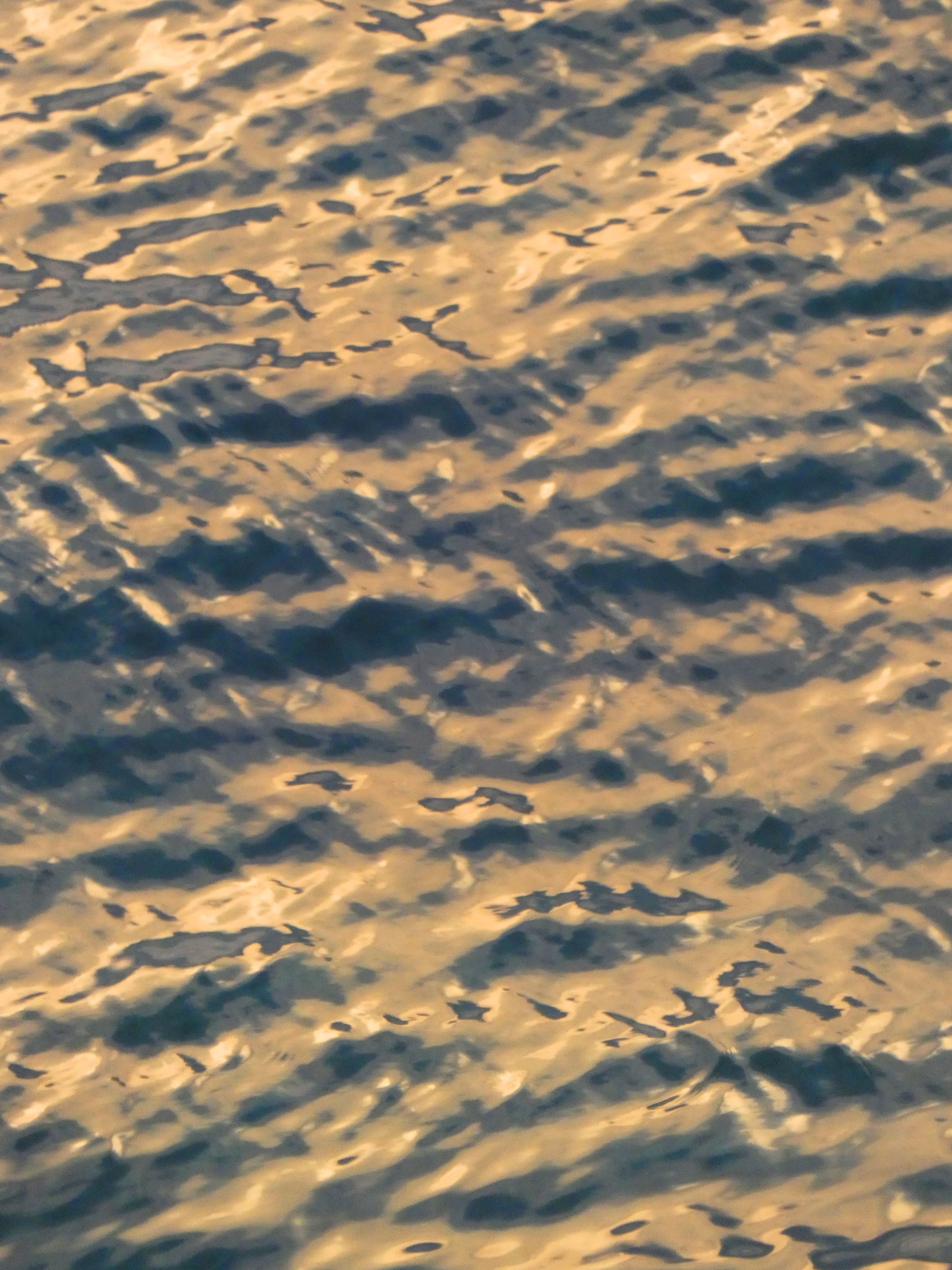 P1360819.png