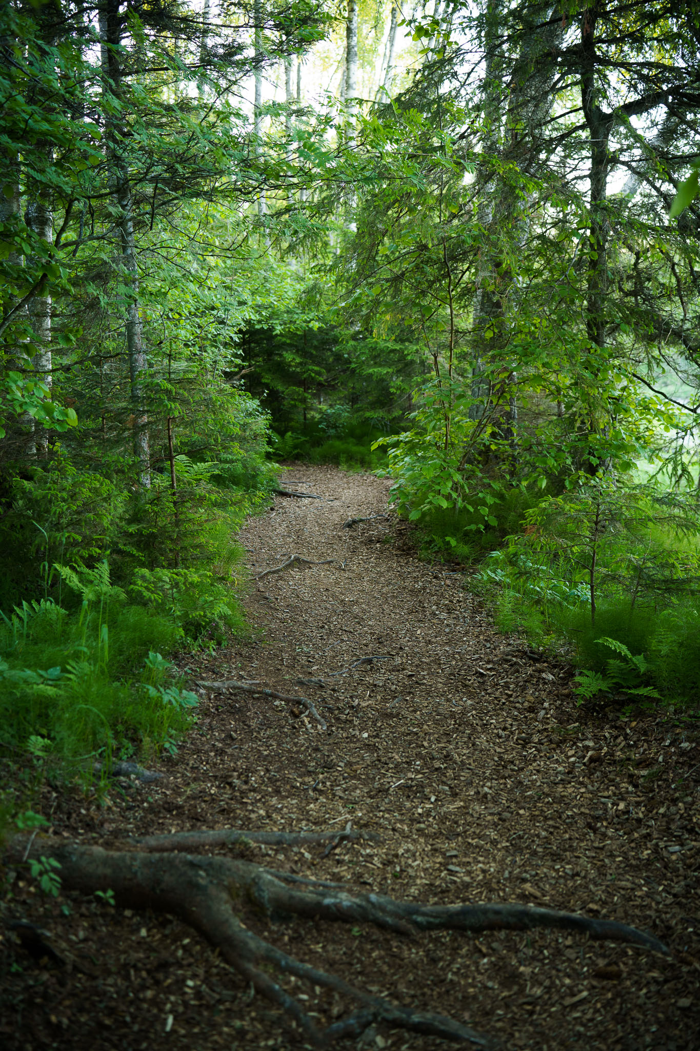 0012cc12Jun23IMG06325.jpg