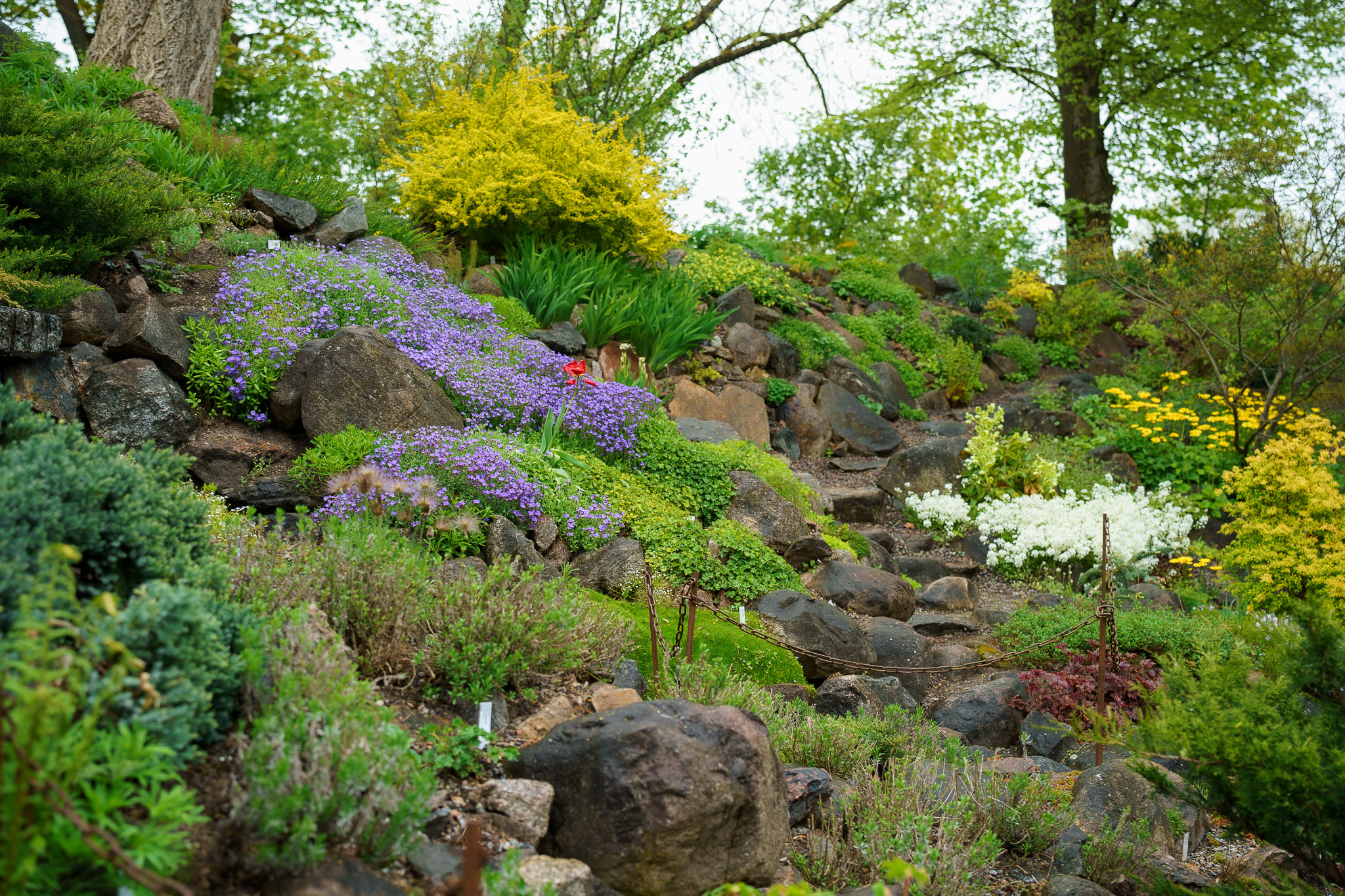 0029cc2025May18IMG01757.jpg