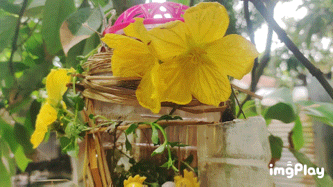 1000039818.gif