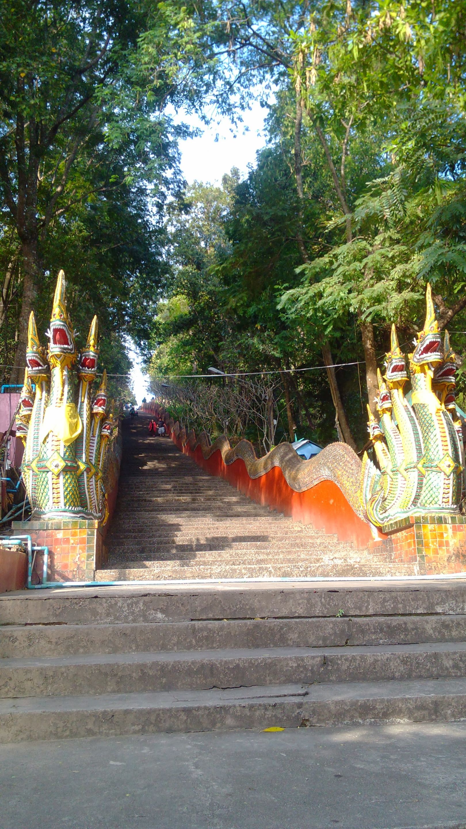 IMG_20131208_090151.jpg
