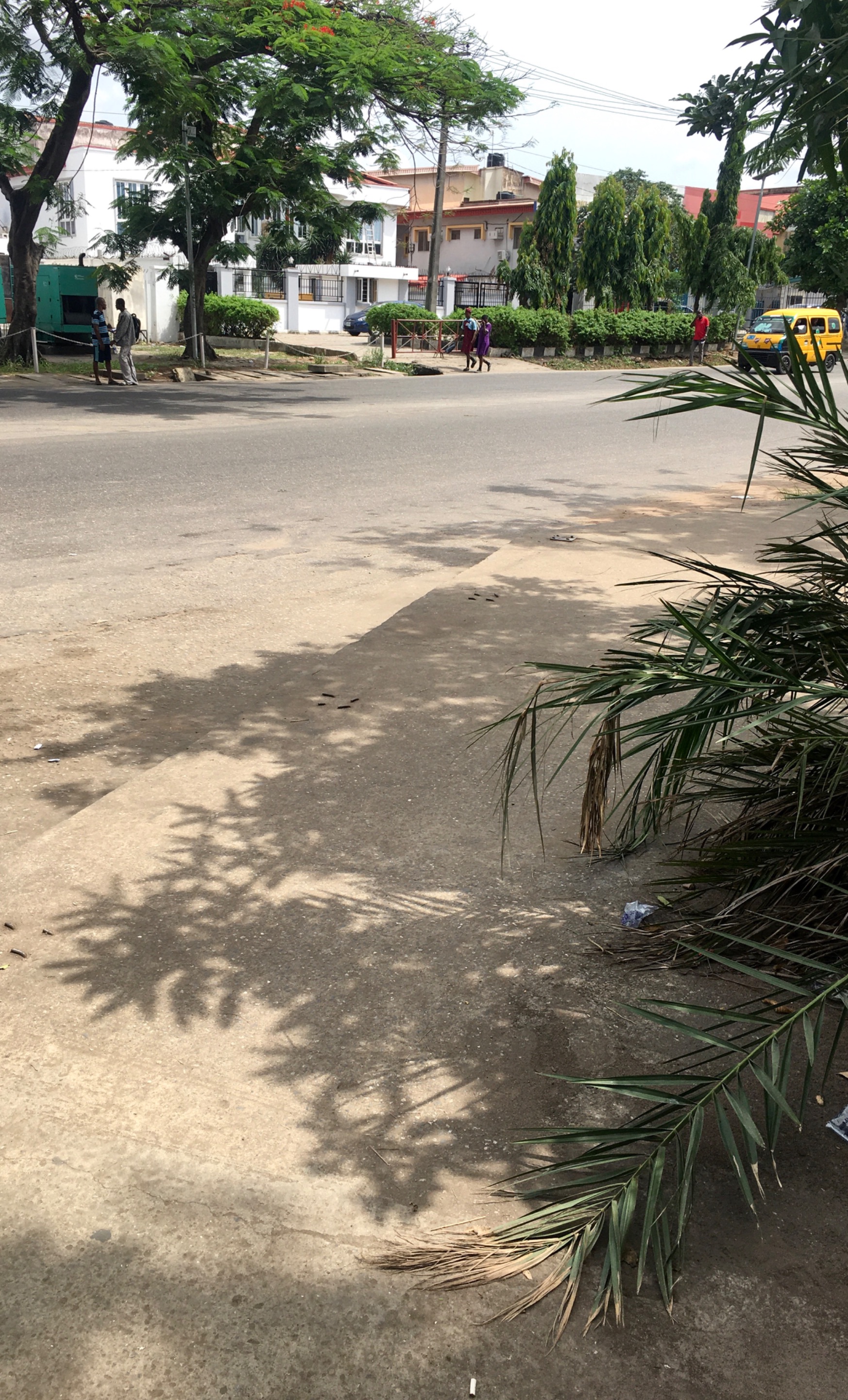 33gbepfu68LtRw9U_IMG_2025051...
Entry Into Smash Contest Round 373: The Sun At Its Peak 🌤🌴
![B713BD2E-F3B1-4D6D-9217-67D576048717.jpeg