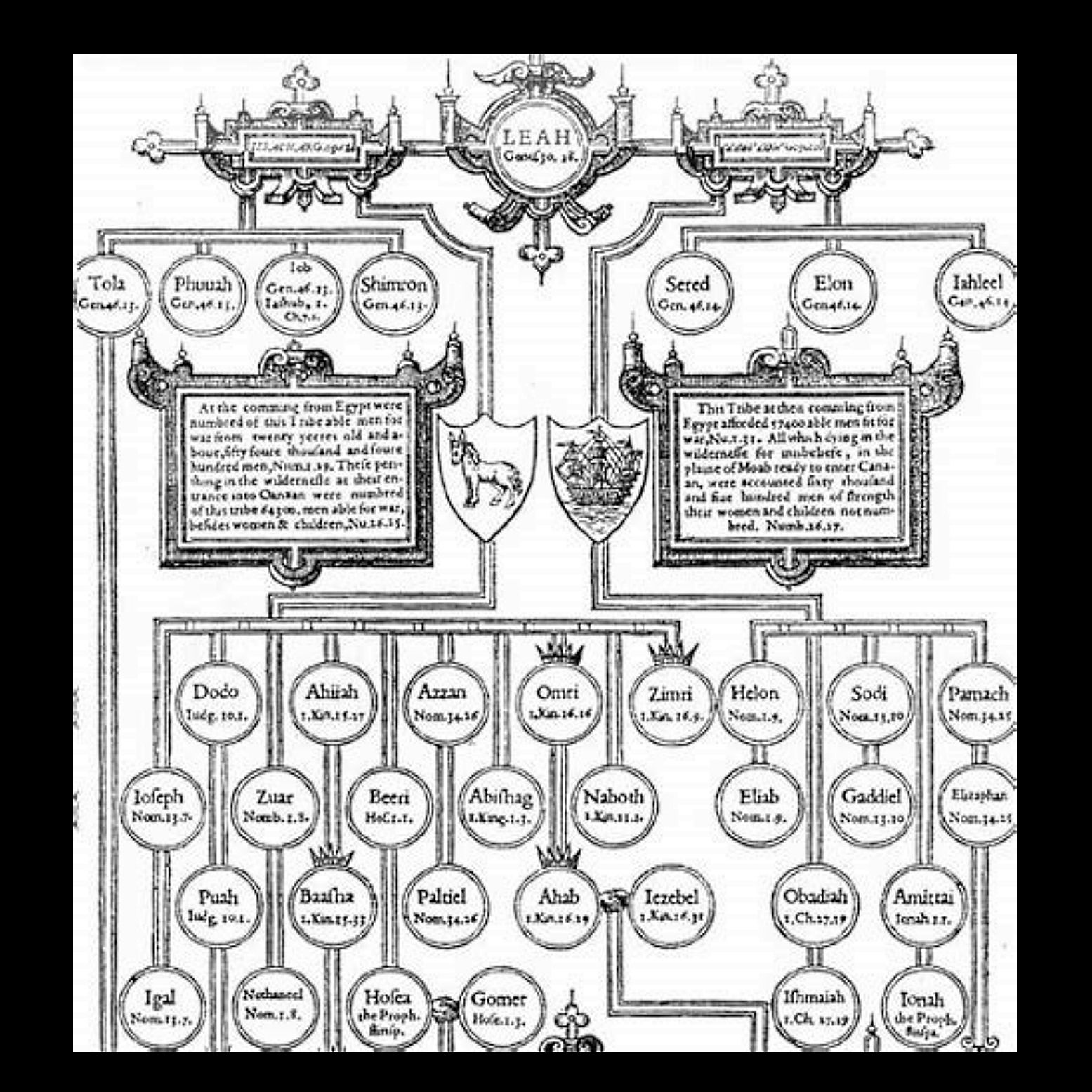 bline-tree.jpg