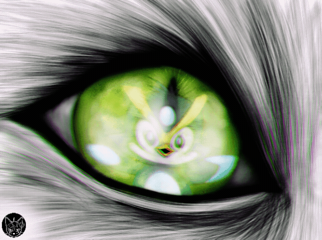 zingu targeted by Miu Miu gif motion.gif