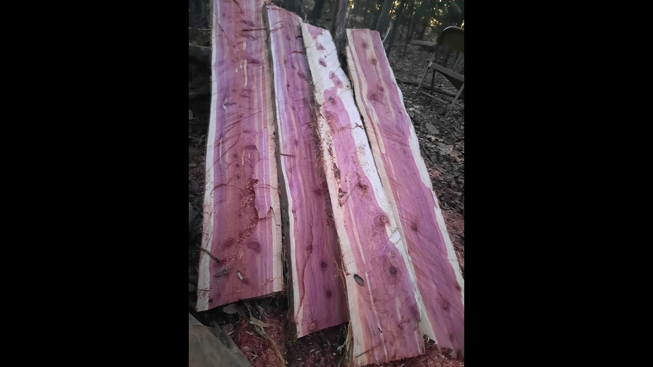 Untitled design (15).png