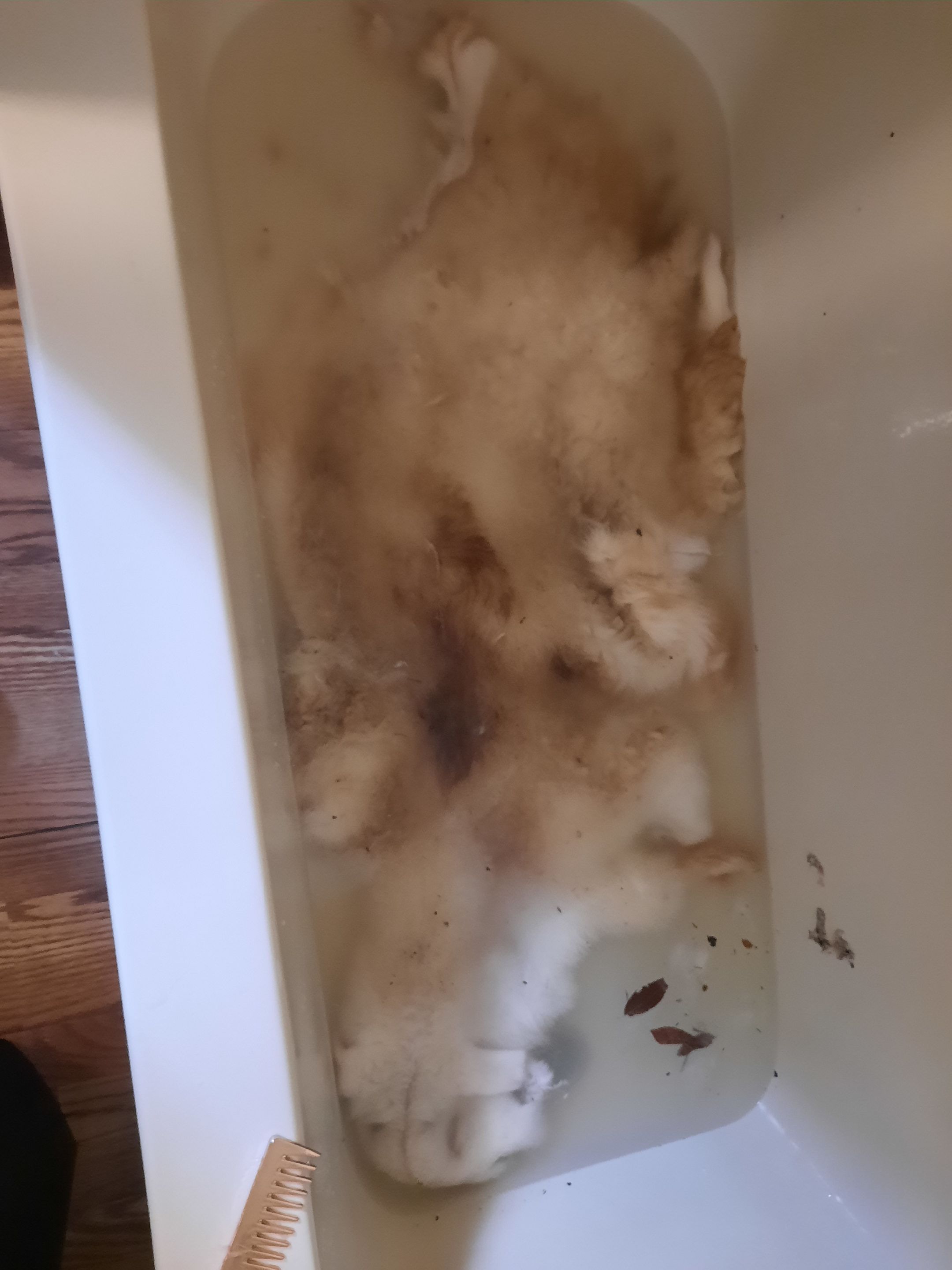 20240118_161916.jpg/
