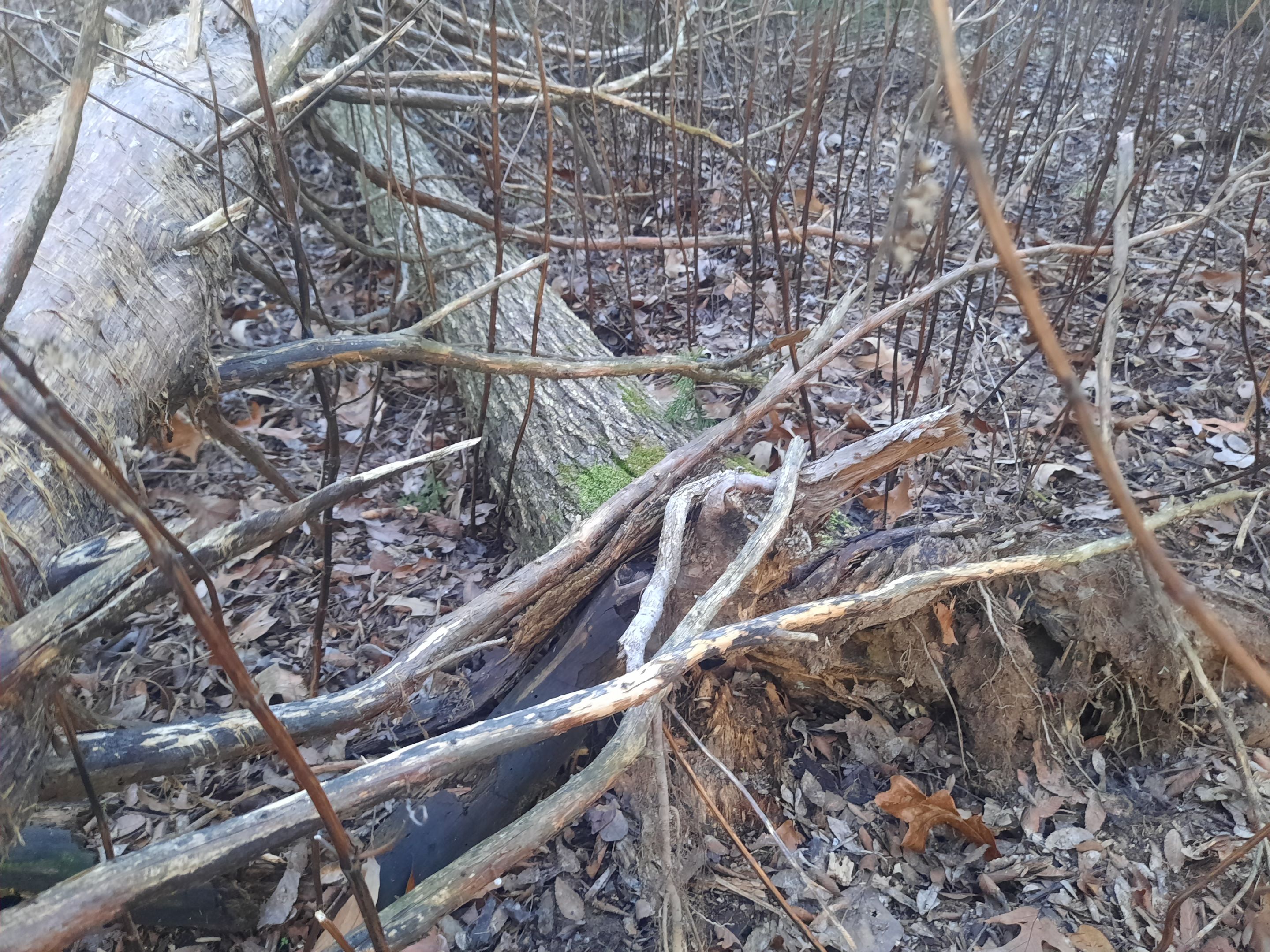 20230108_165639.jpg