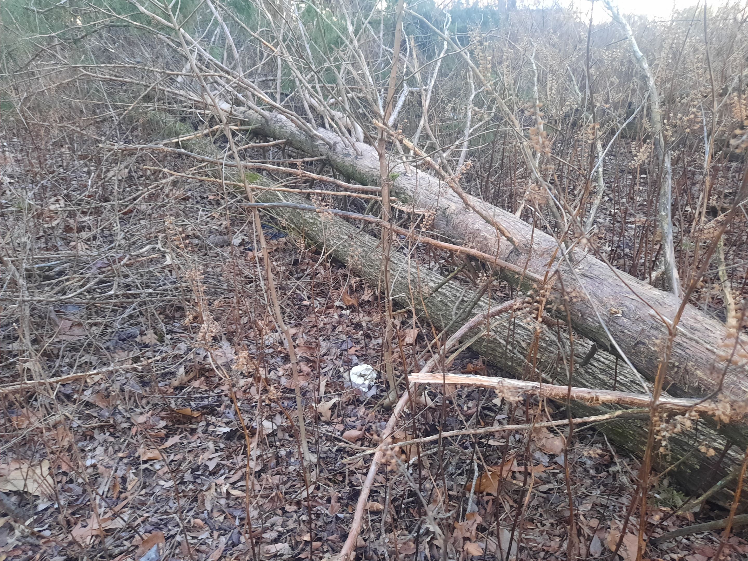 20230108_165647.jpg