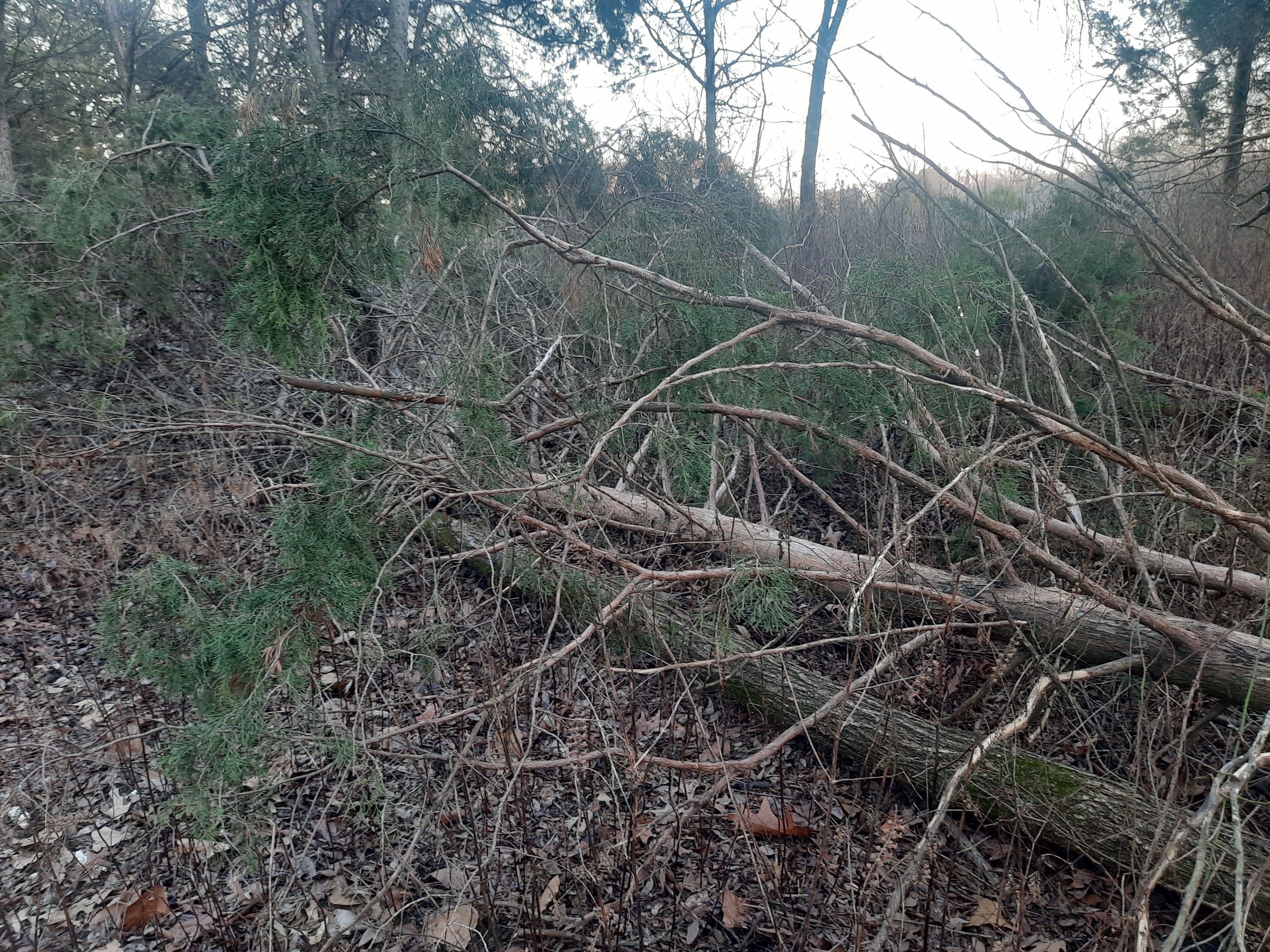 20230108_165705.jpg