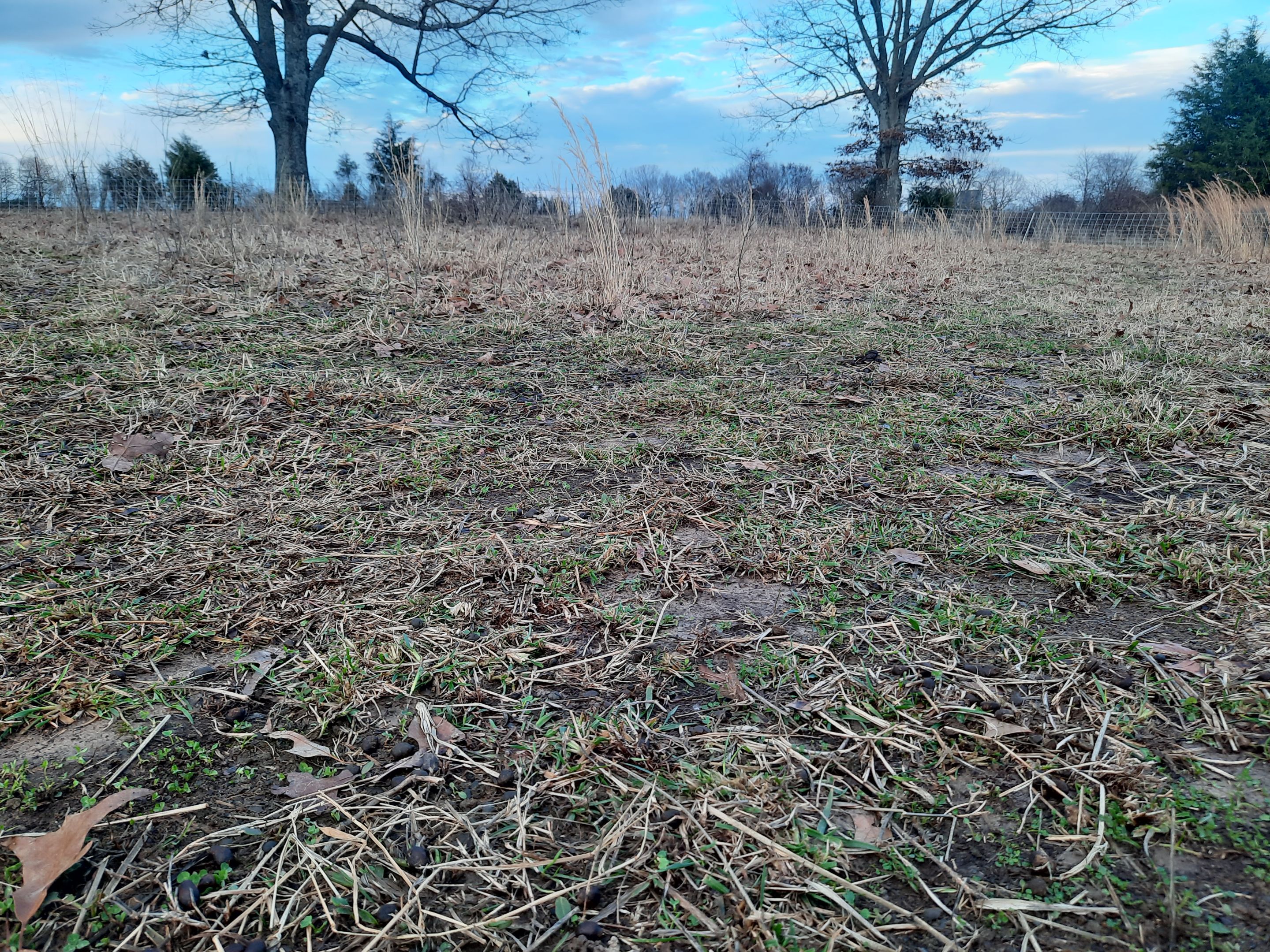 20230103_163930.jpg