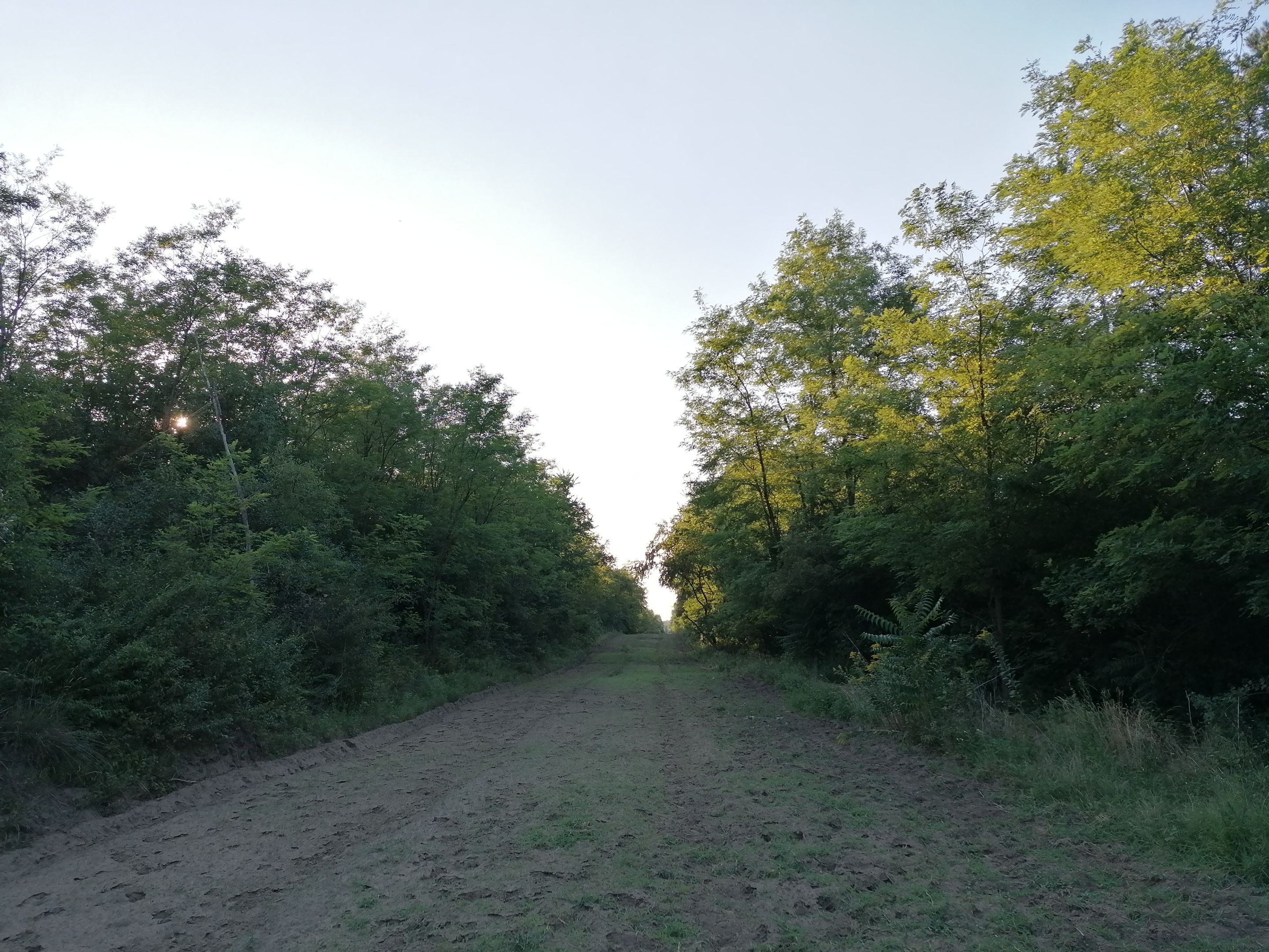 IMG_20210808_183522.jpg