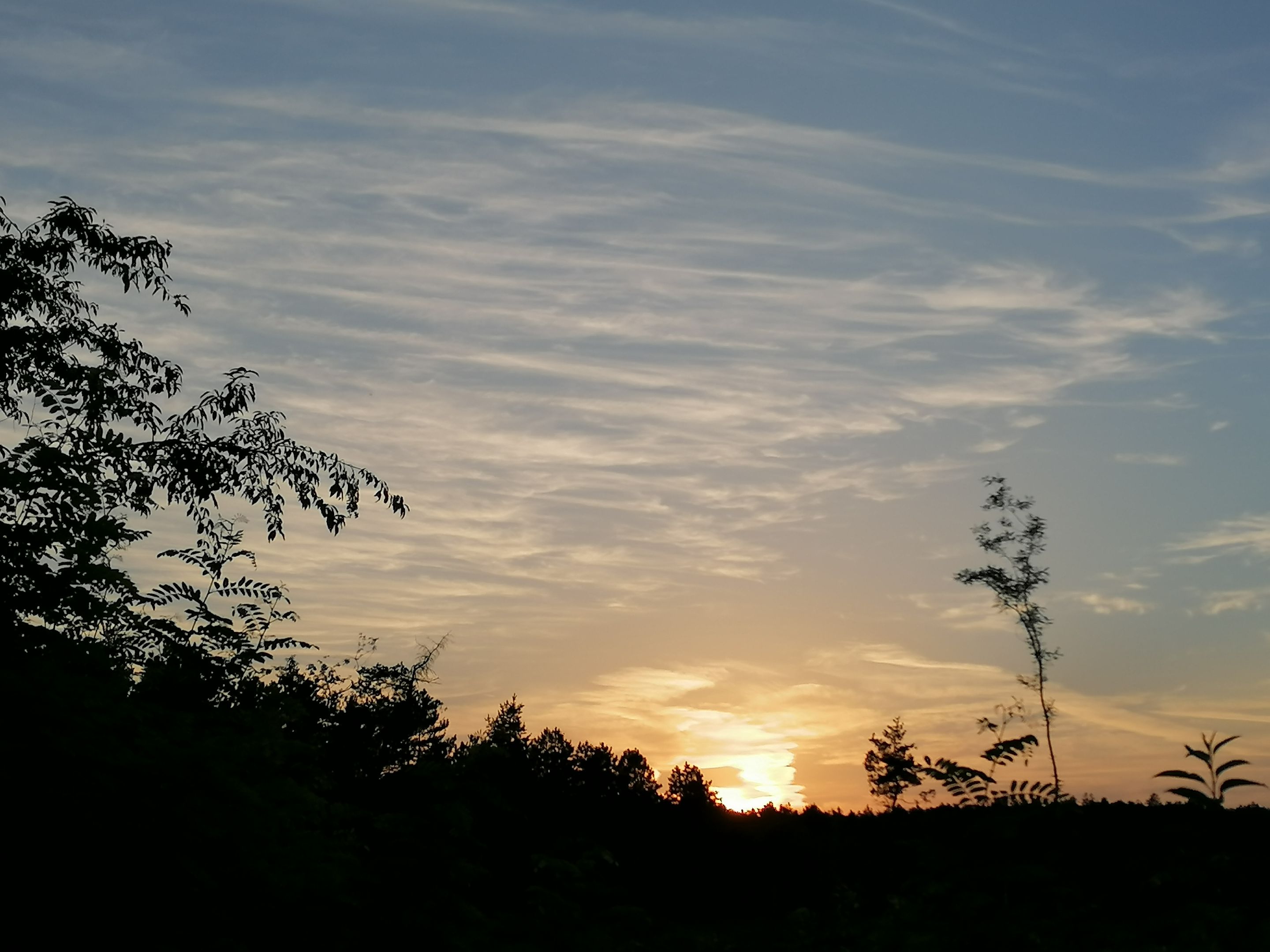 IMG_20210808_193154.jpg