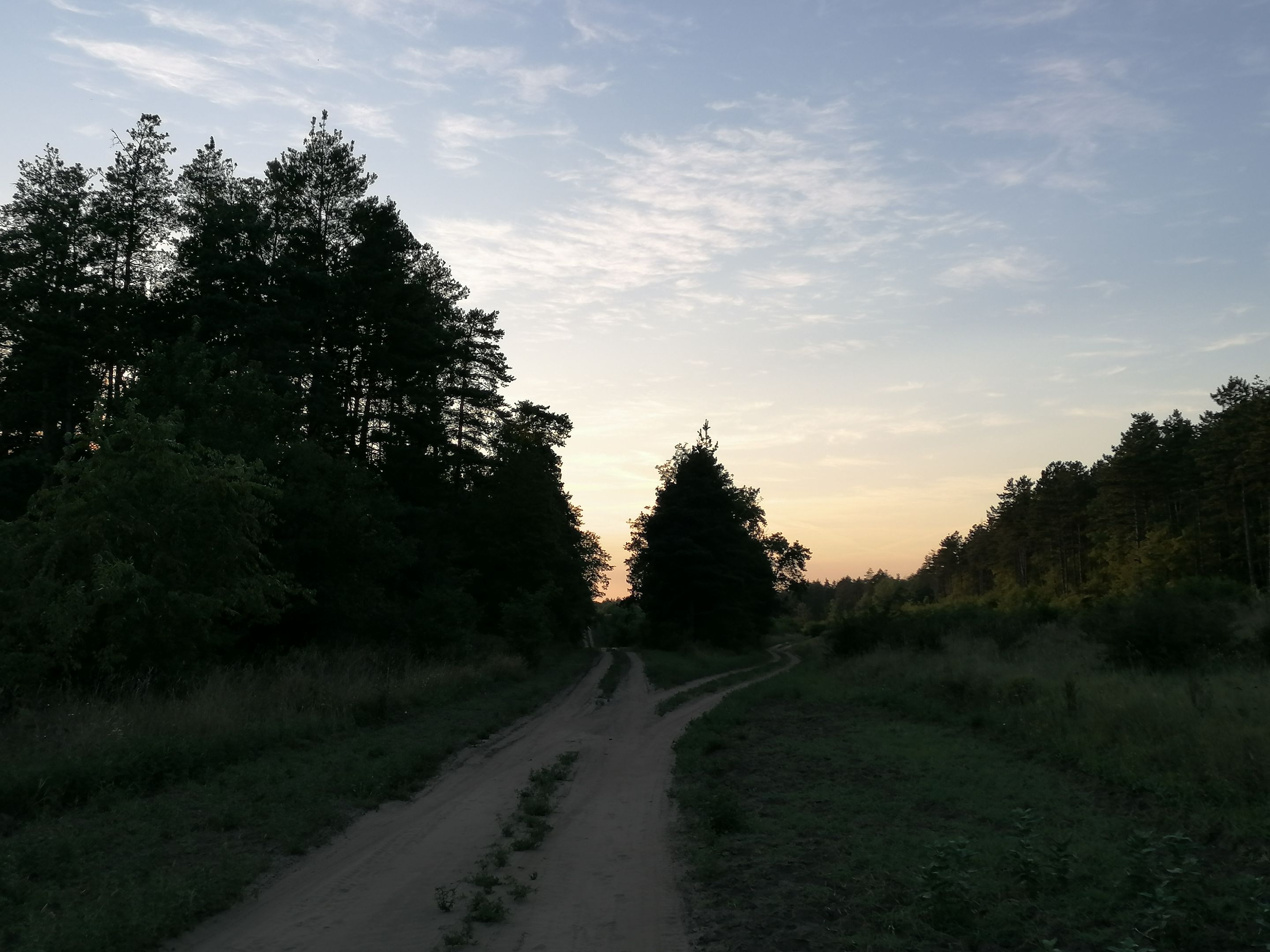 IMG_20210808_191442.jpg
