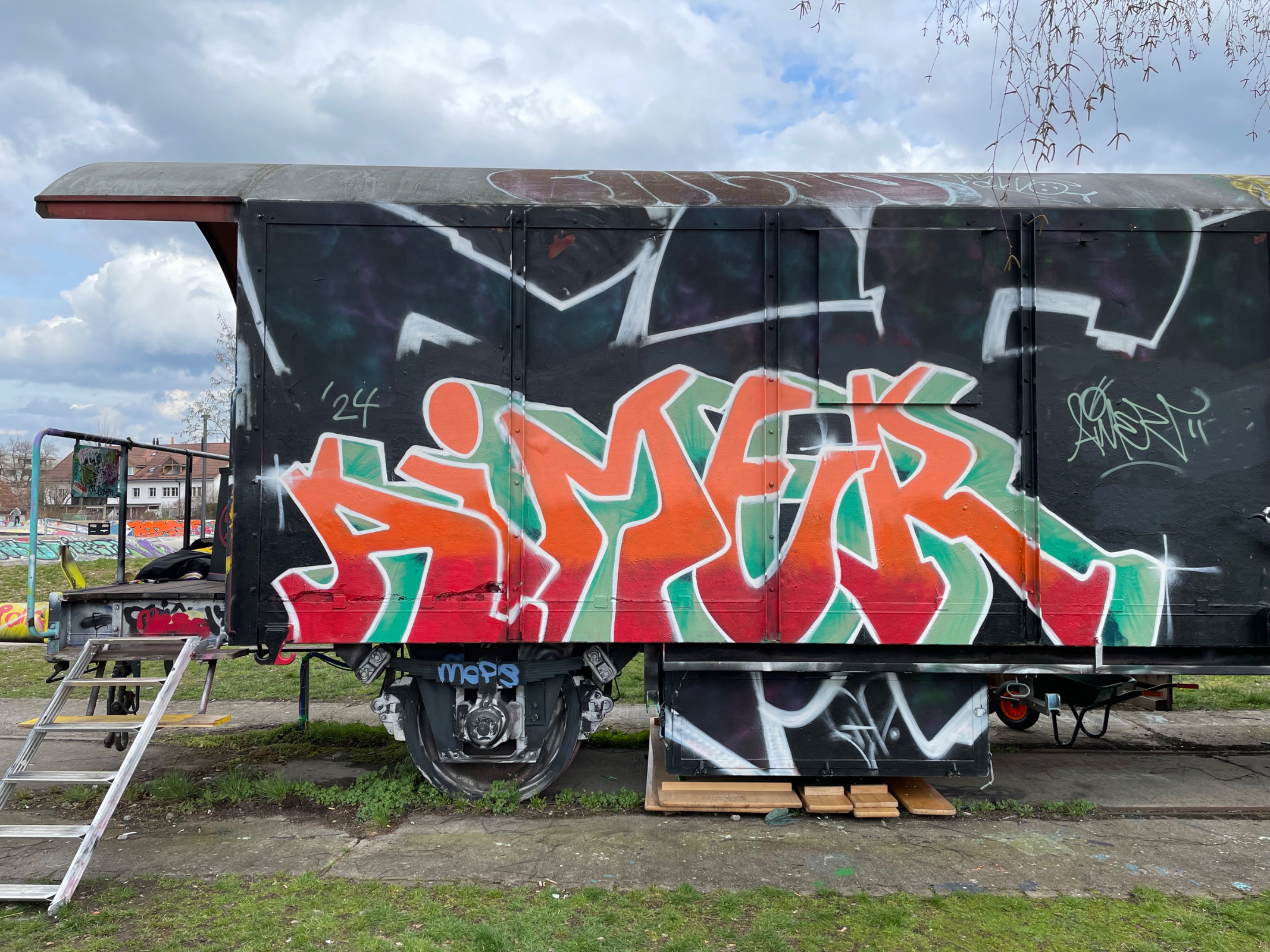 IMG_2439.jpeg