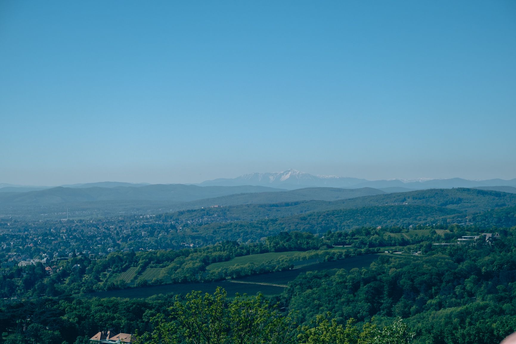 DSCF4012.jpg