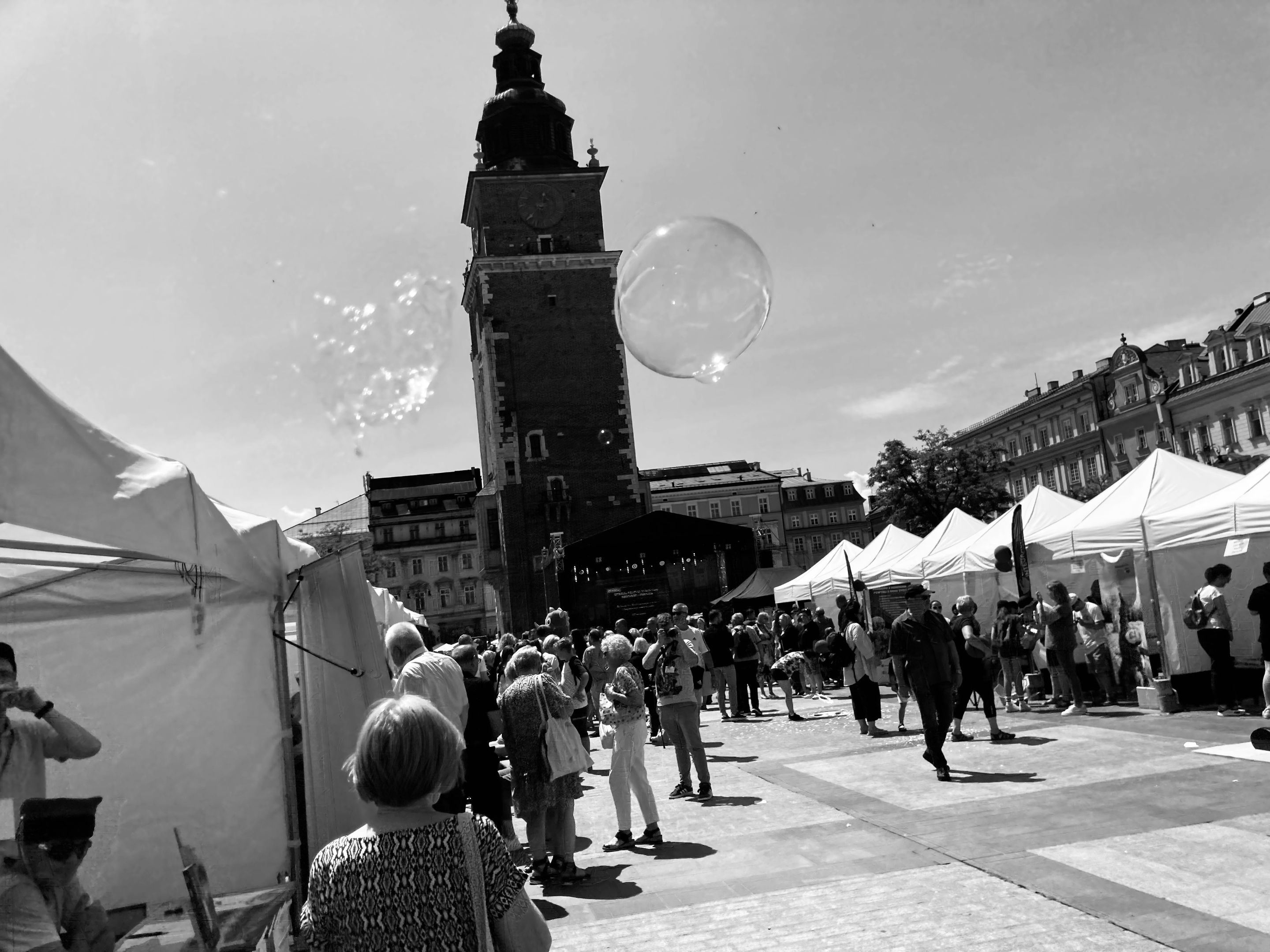 IMG_4551.jpg