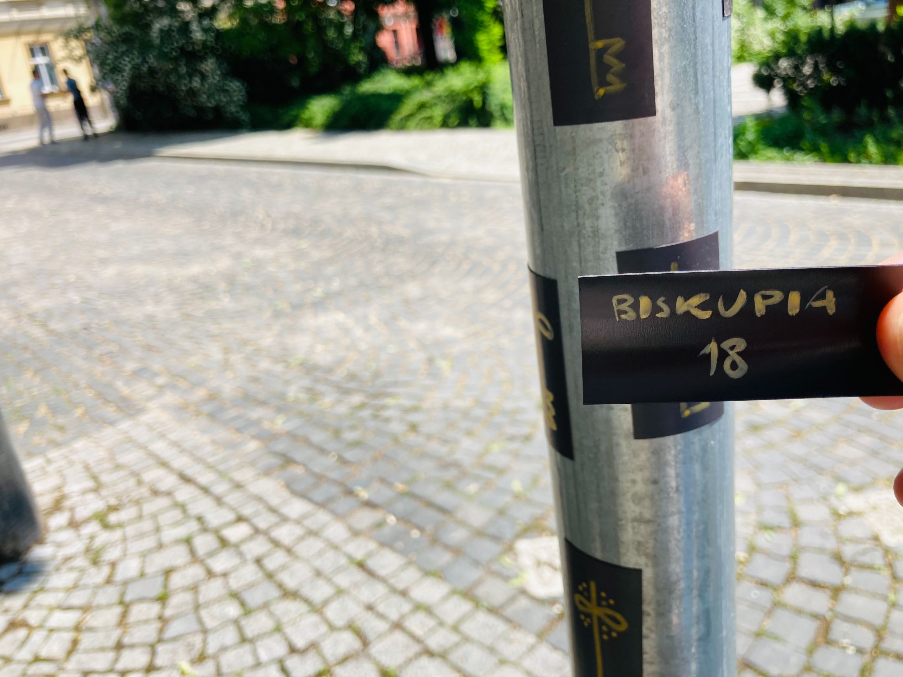 IMG_4619.jpeg