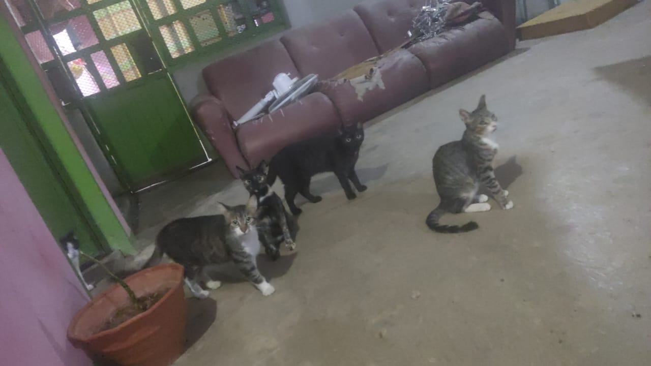 Imagen de WhatsApp 2025-10-04 a las 16.24.44_ffb77d89.jpg