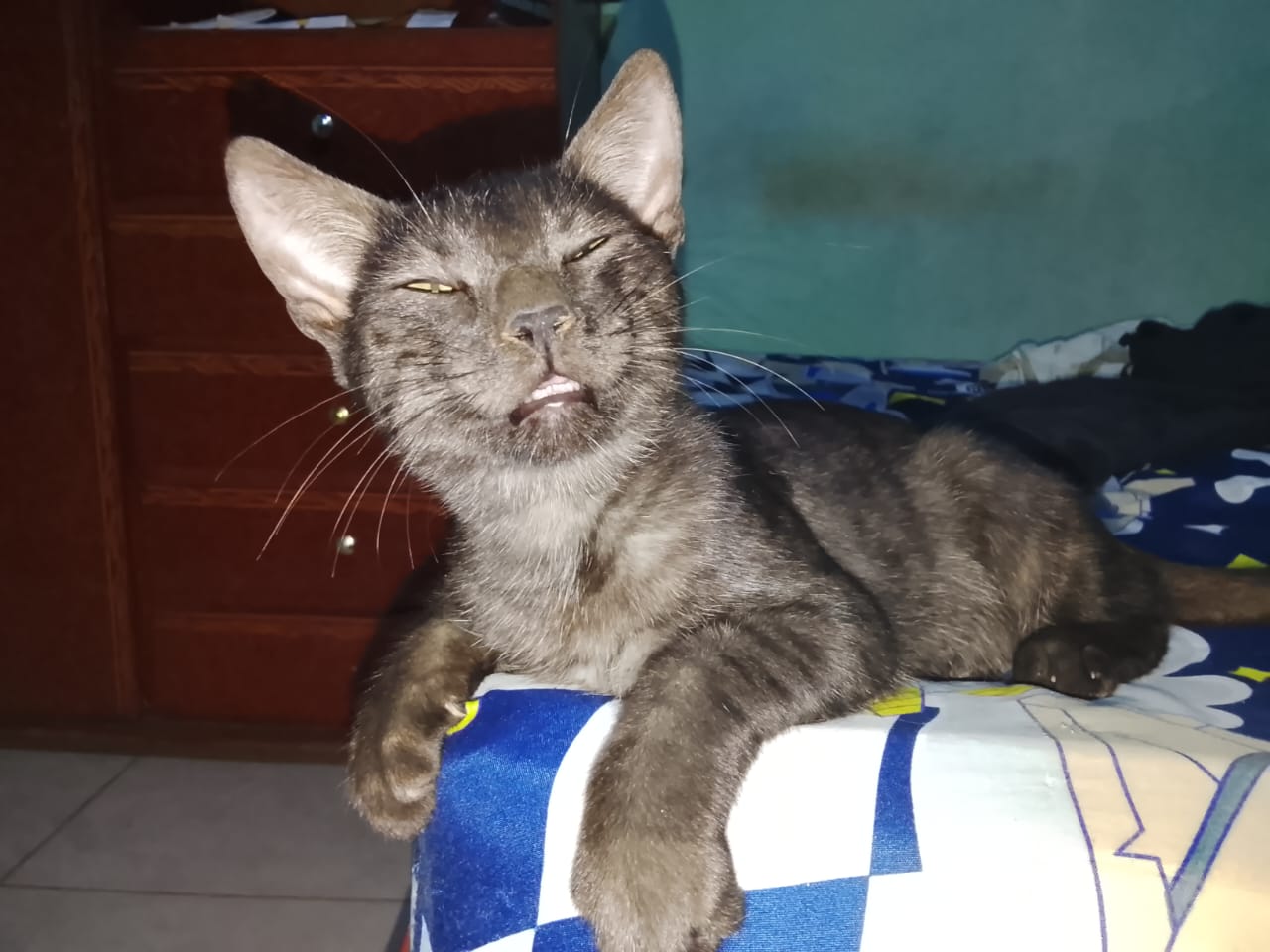 Imagen de WhatsApp 2025-10-04 a las 16.24.34_5c2dc251.jpg