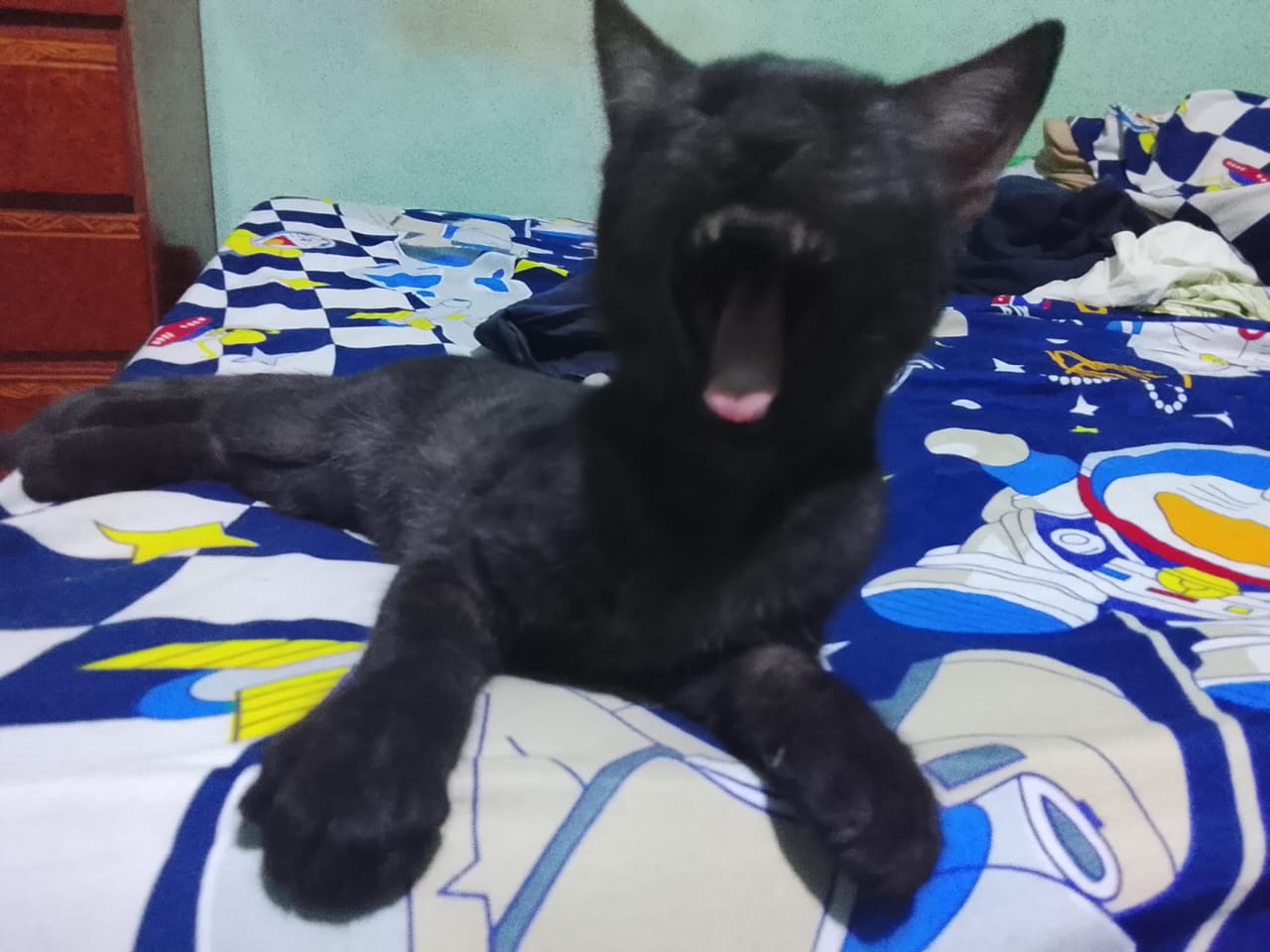 Imagen de WhatsApp 2025-10-04 a las 16.24.34_984b0738.jpg