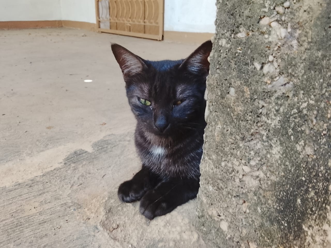 Imagen de WhatsApp 2025-10-04 a las 16.24.35_12086cbe.jpg