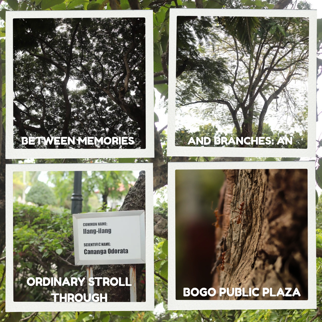 White Vintage Frame Organic Collage Instagram Post _20251017_181329_0000.png