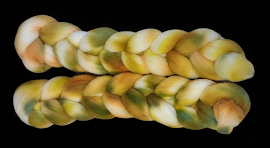sunflower3.jpg